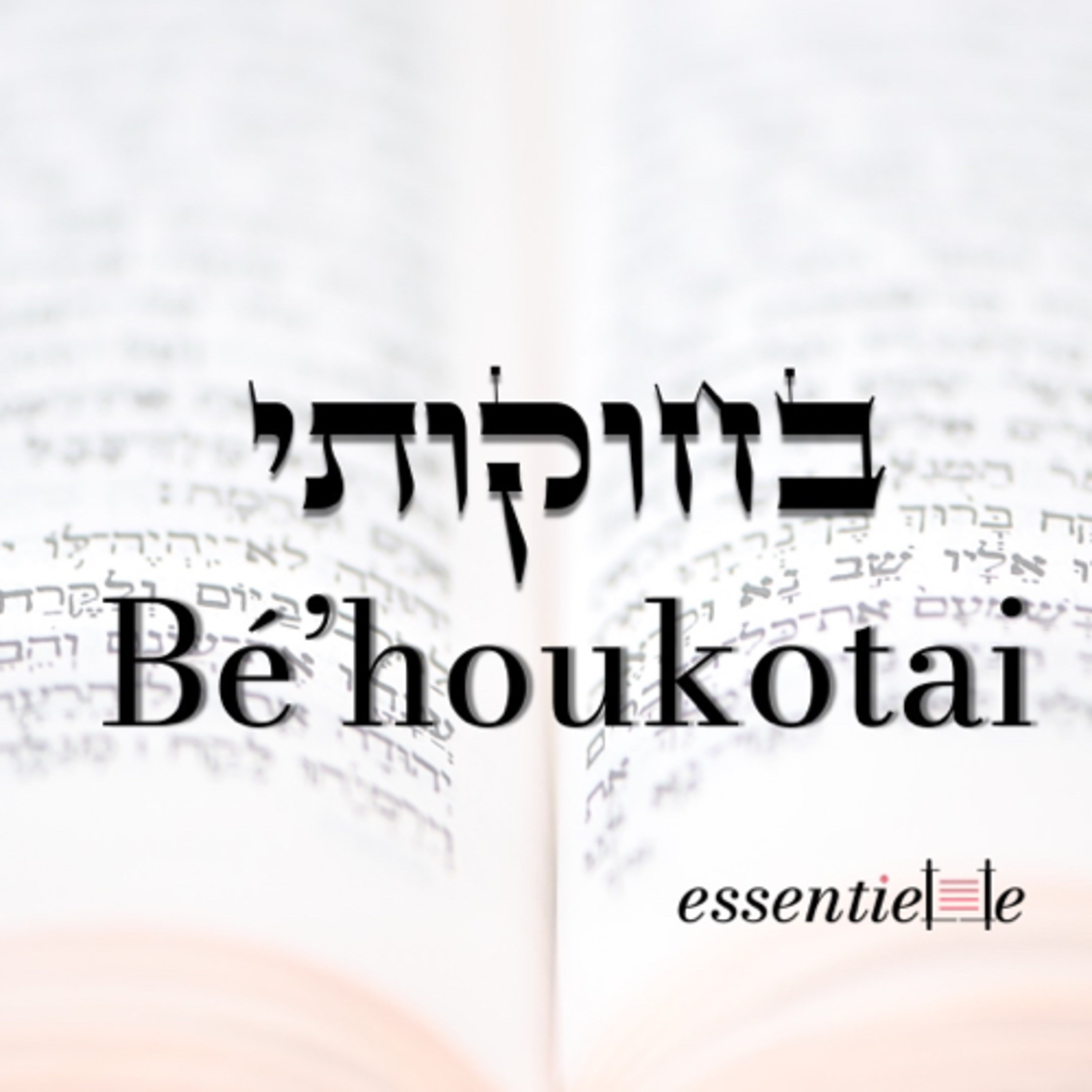 5782 - Behoukotai - S'investir pour créer un lien solide episode artwork