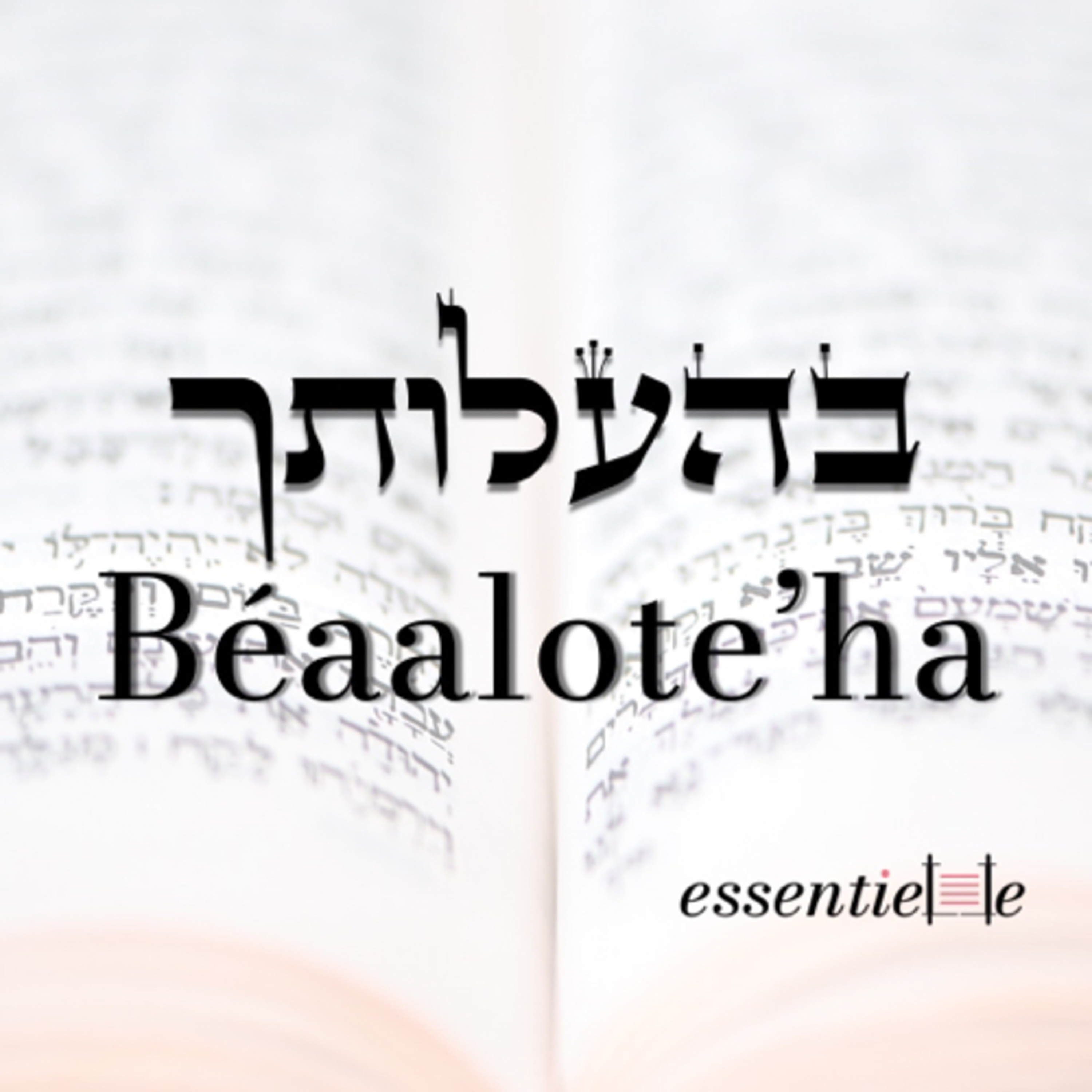 5782 - Béaalote’ha - Pourquoi suis-je insatisfaite? episode artwork