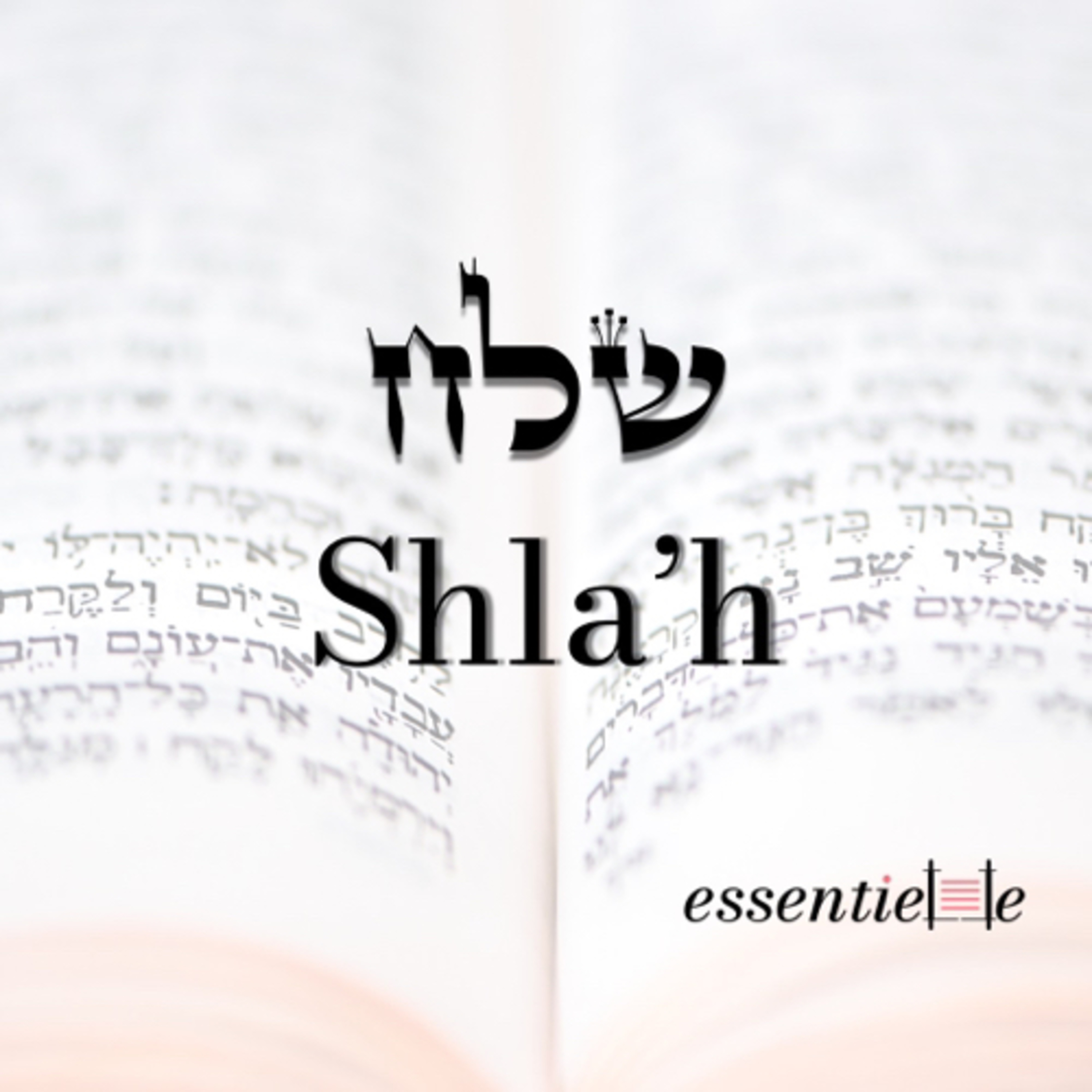 5782 - Shla'h - Quand les mots créent les maux! episode artwork