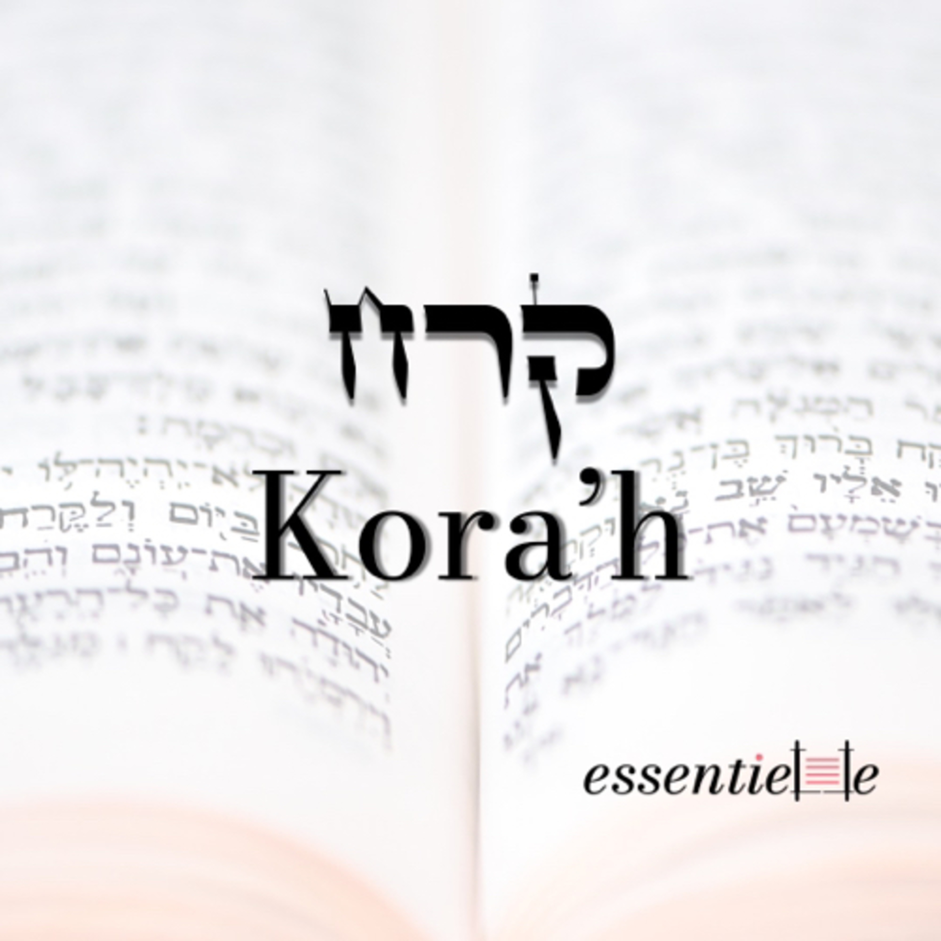 5782 - Kora’h - Comment éviter les disputes? episode artwork