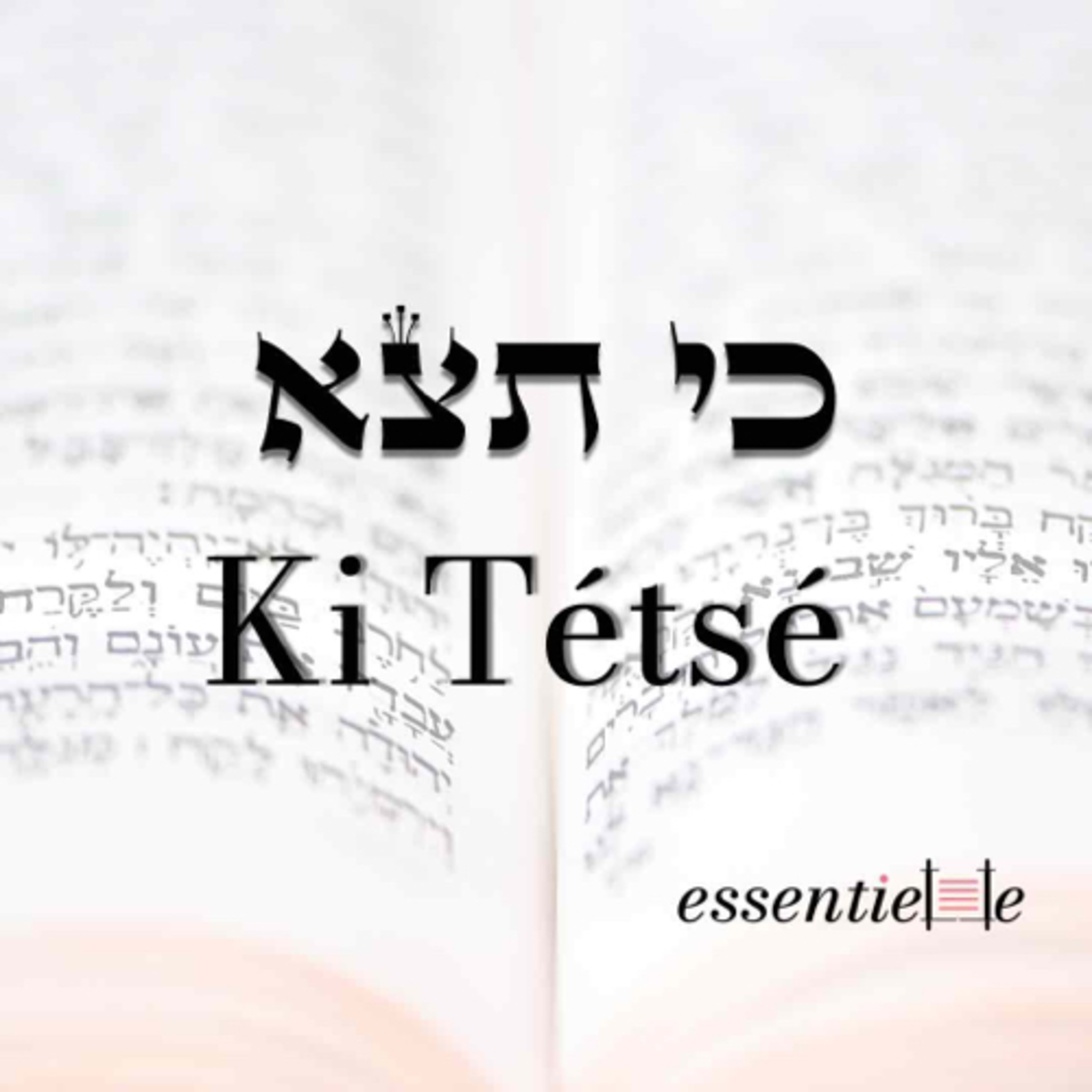 5782 - Ki tétsé - Retrouver notre sensibilité episode artwork