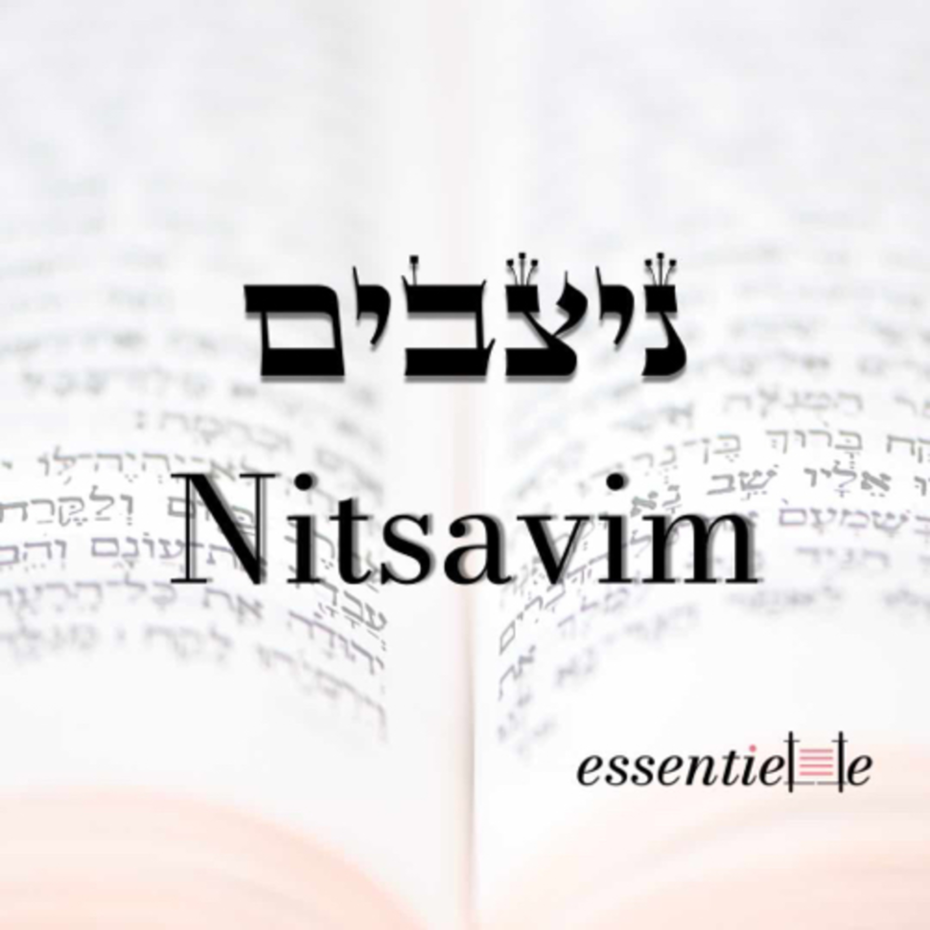5782 - Nitsavim - La voix des mères juives episode artwork