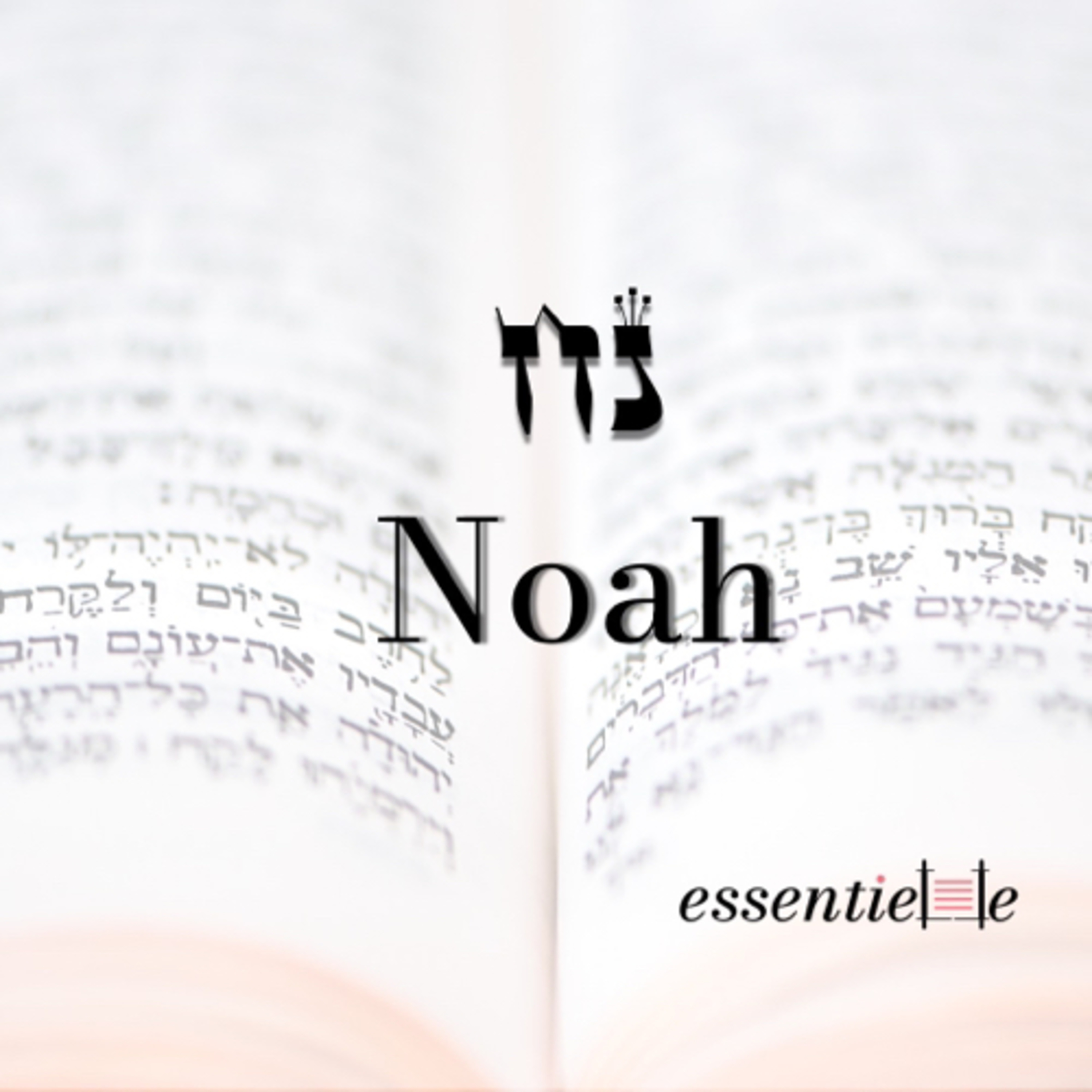 5783 - Noah- Construire un monde meilleur episode artwork