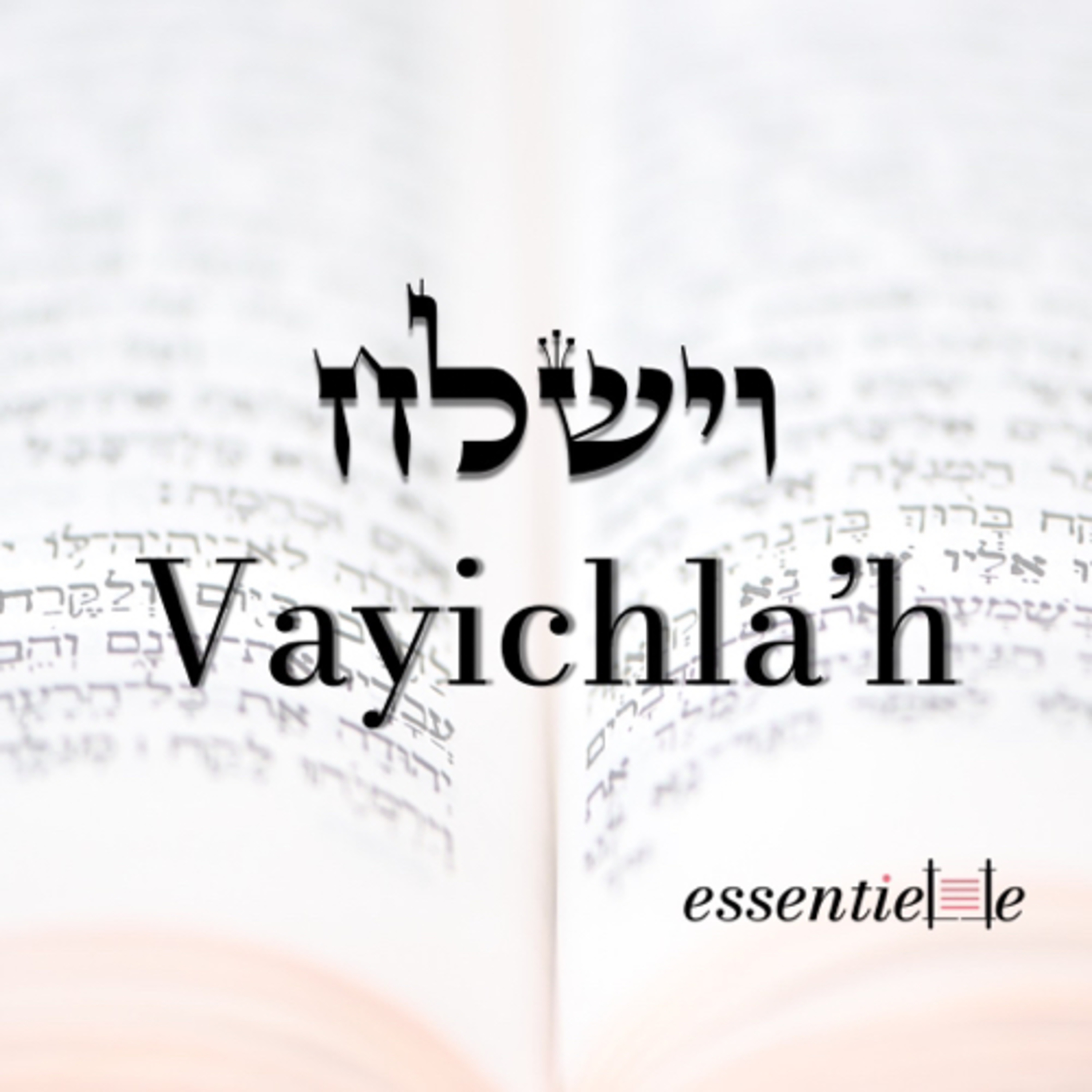 5783 - Vayichla'h - Sortir de la solitude episode artwork