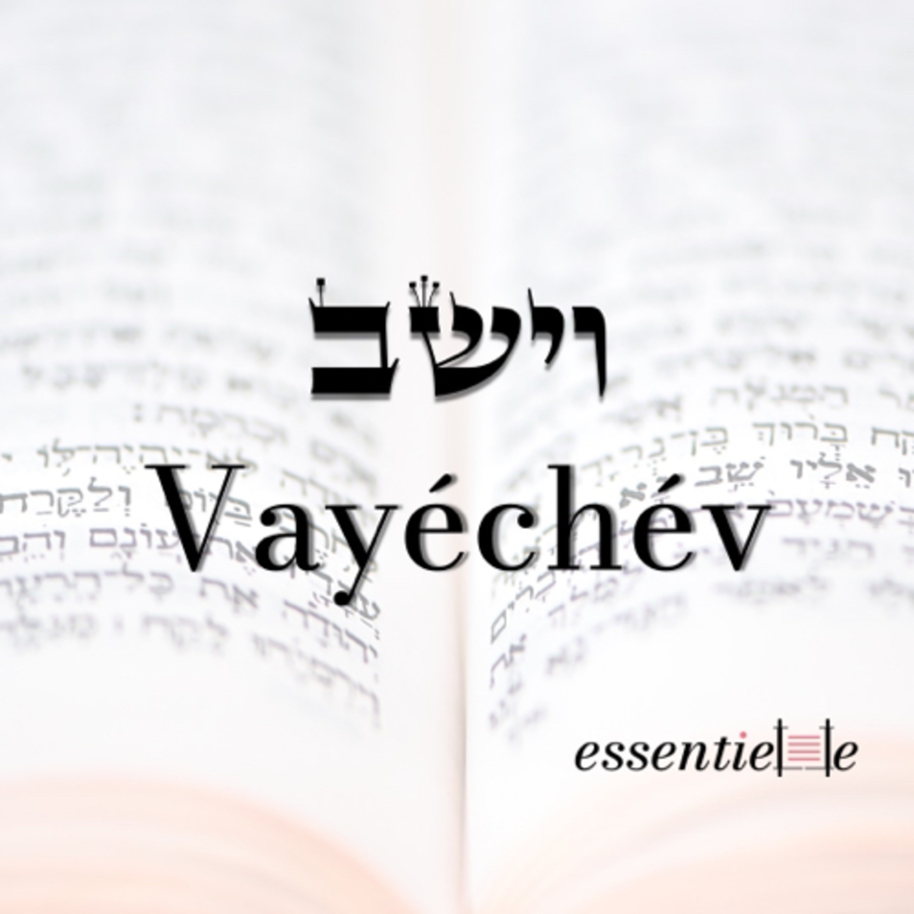 5783 - Vayéchév - Résiste, prouve que tu existes ! episode artwork