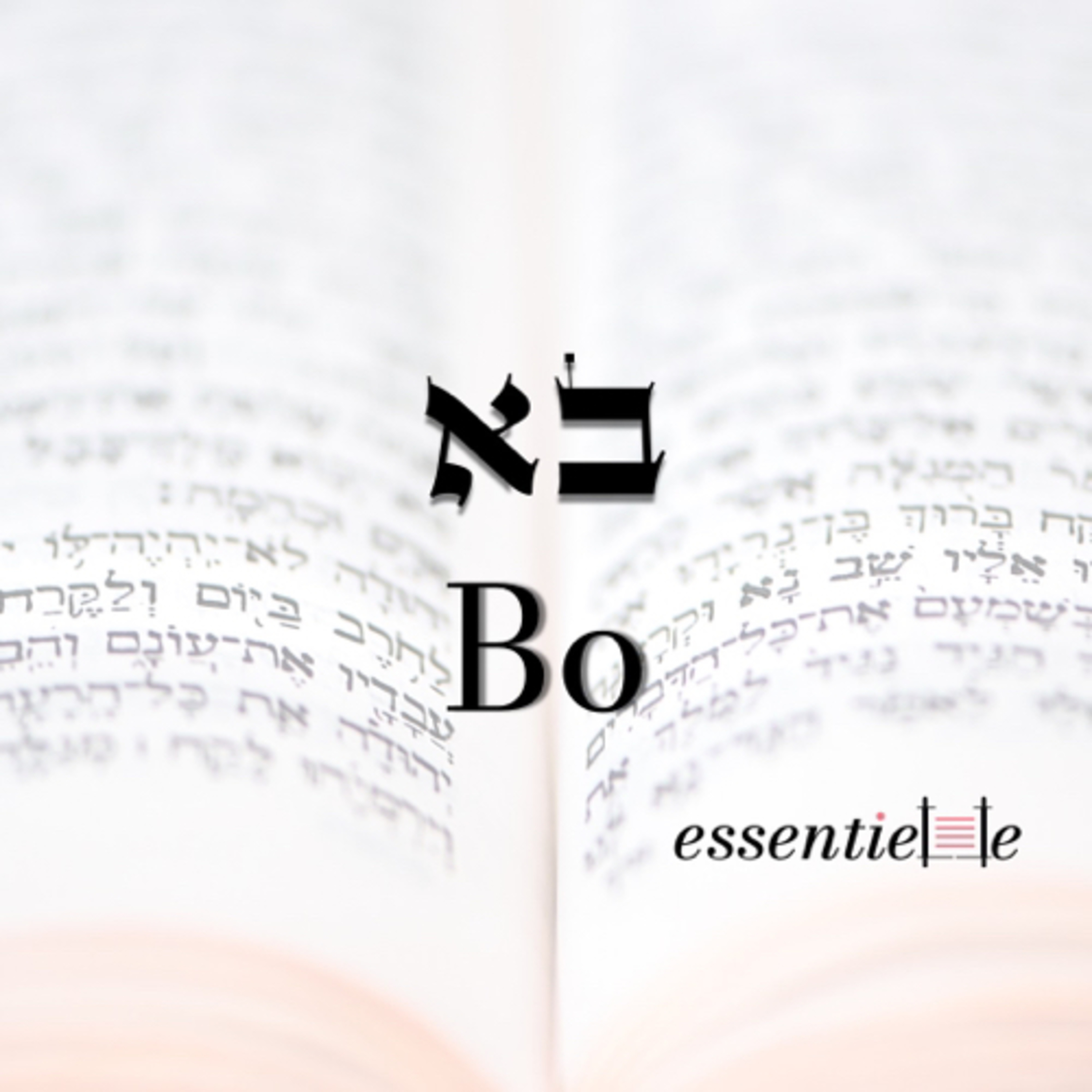 5783 - Bo - L'estime de soi episode artwork