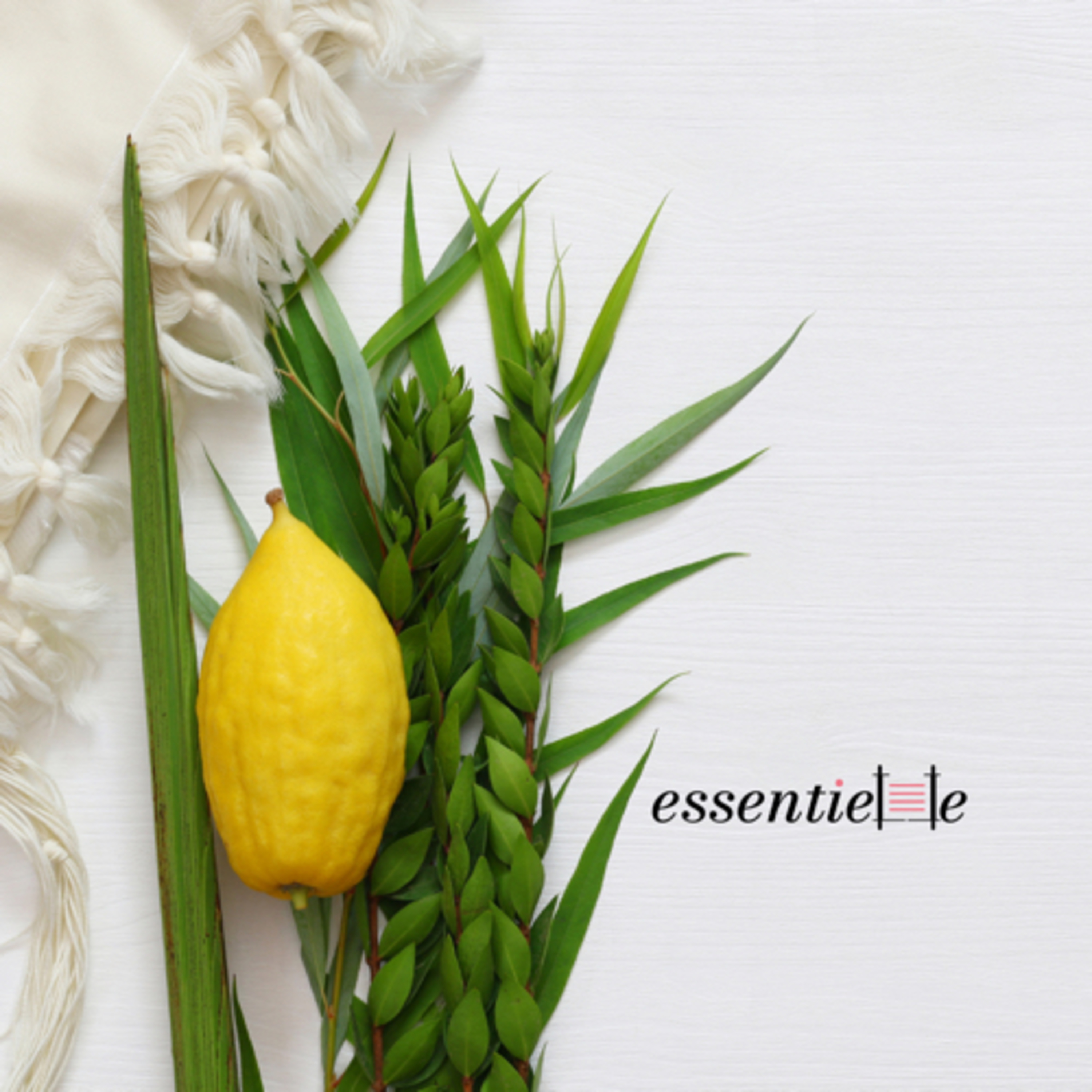 essentielle by Mariacha Drai