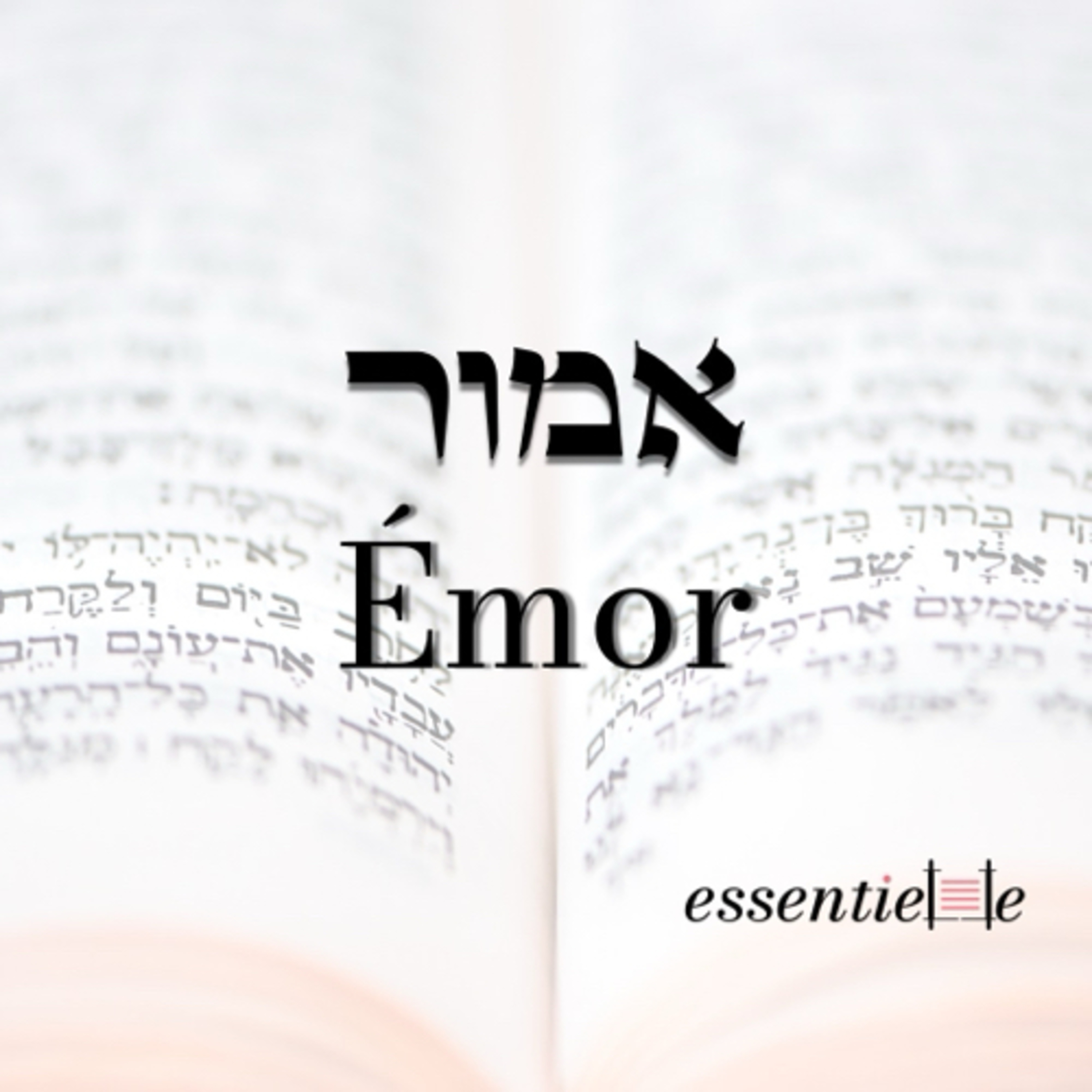 5784 - Emor -Mériter Eretz Israel