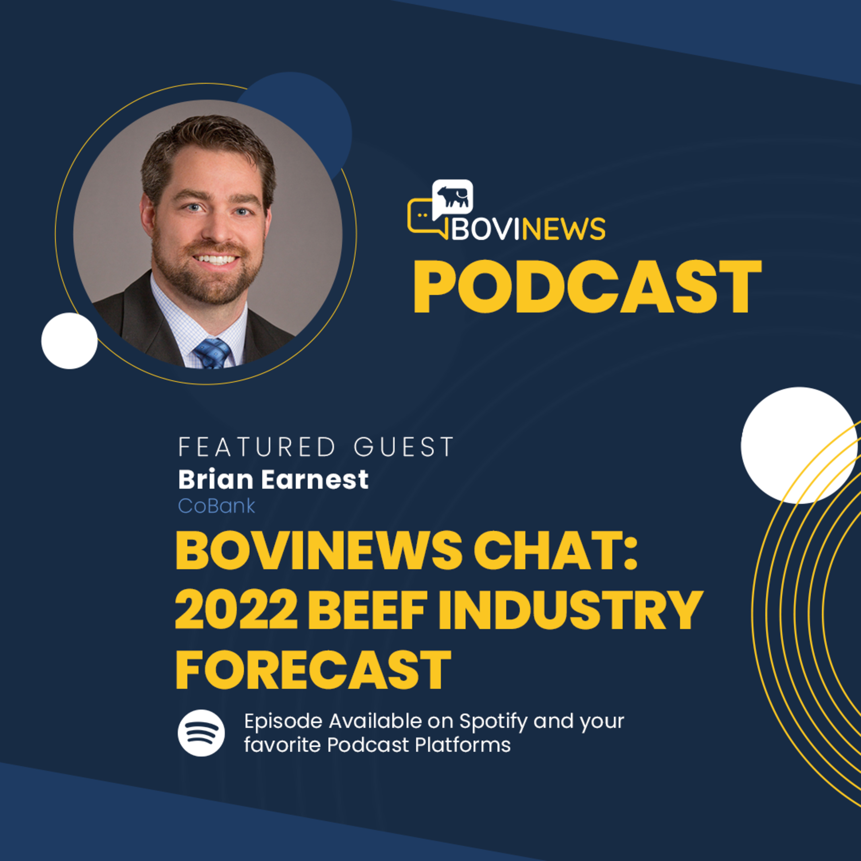 BoviNews