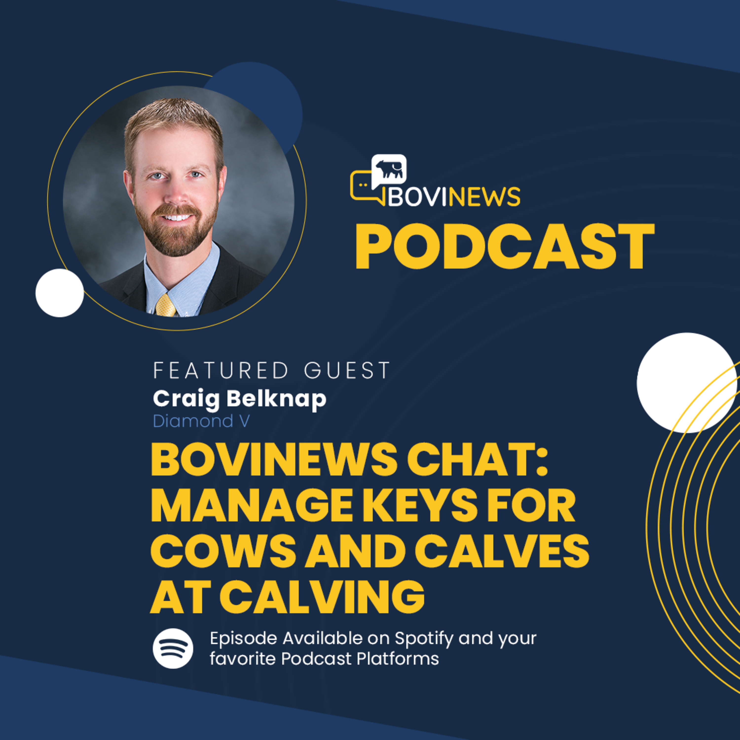 BoviNews
