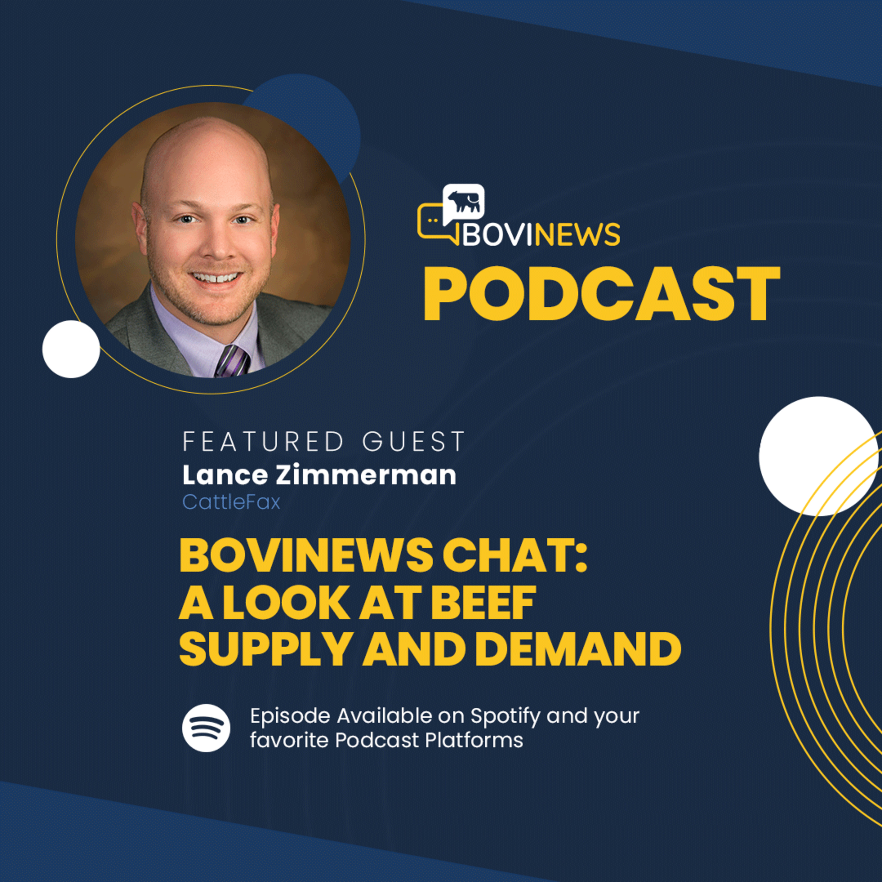 BoviNews