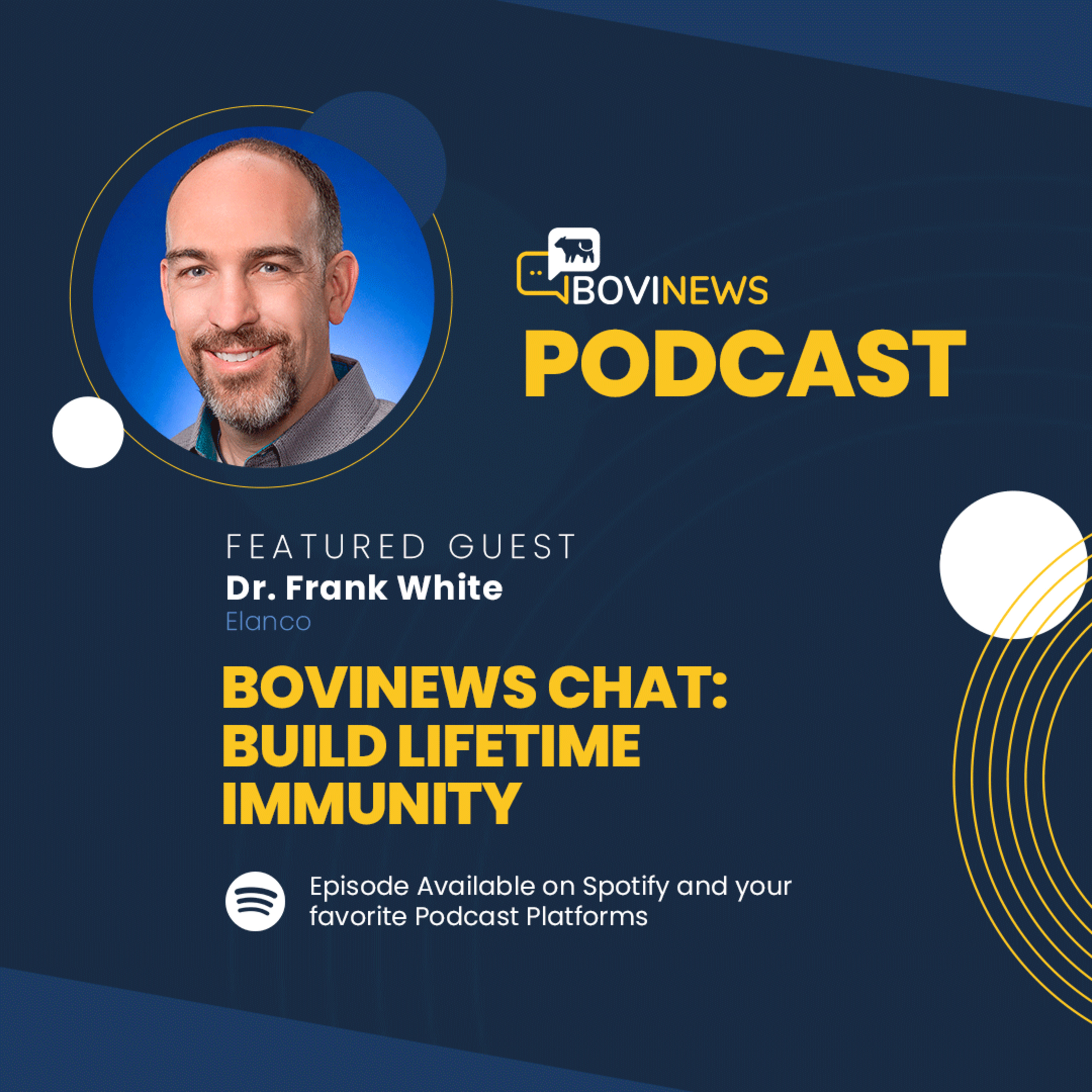 BoviNews