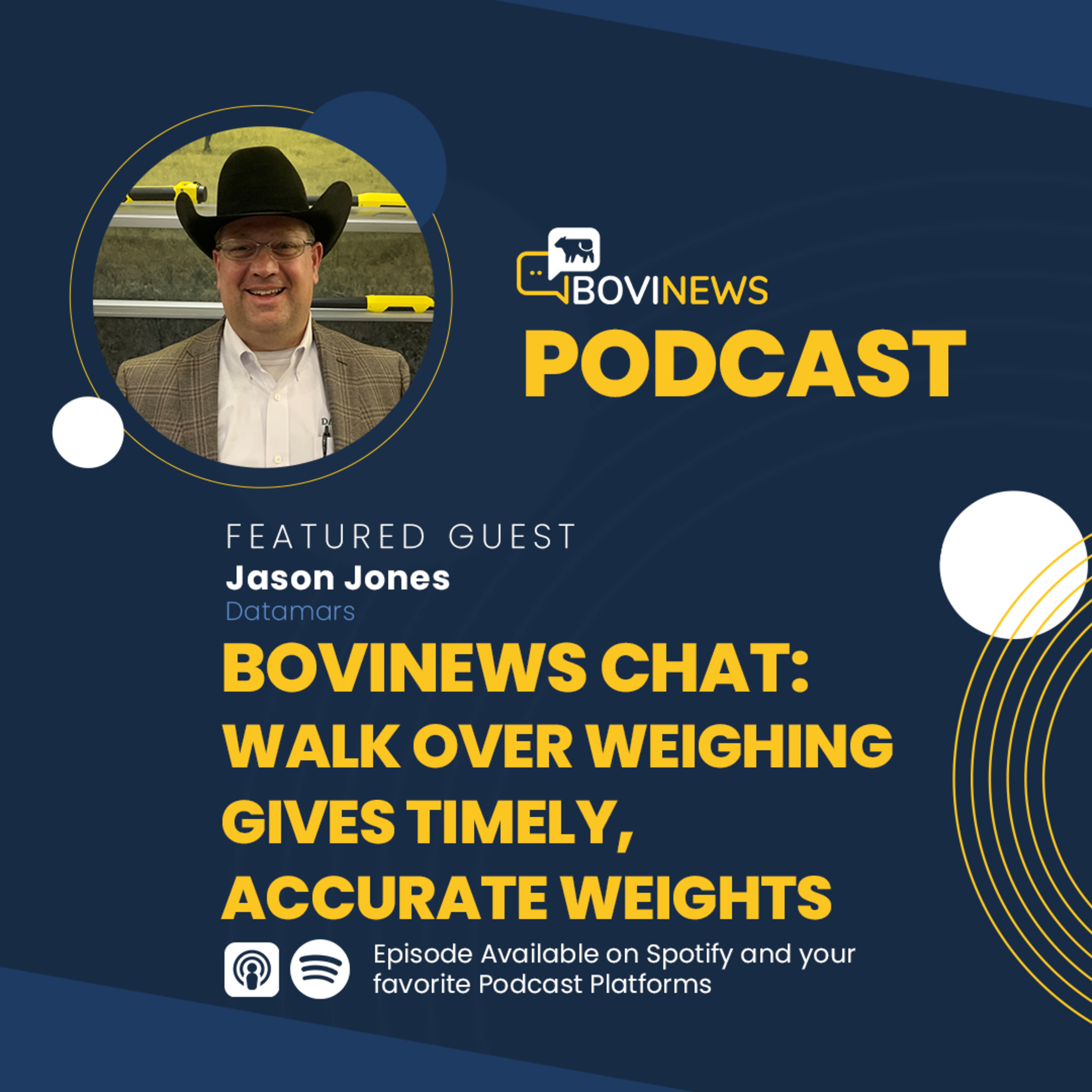 BoviNews