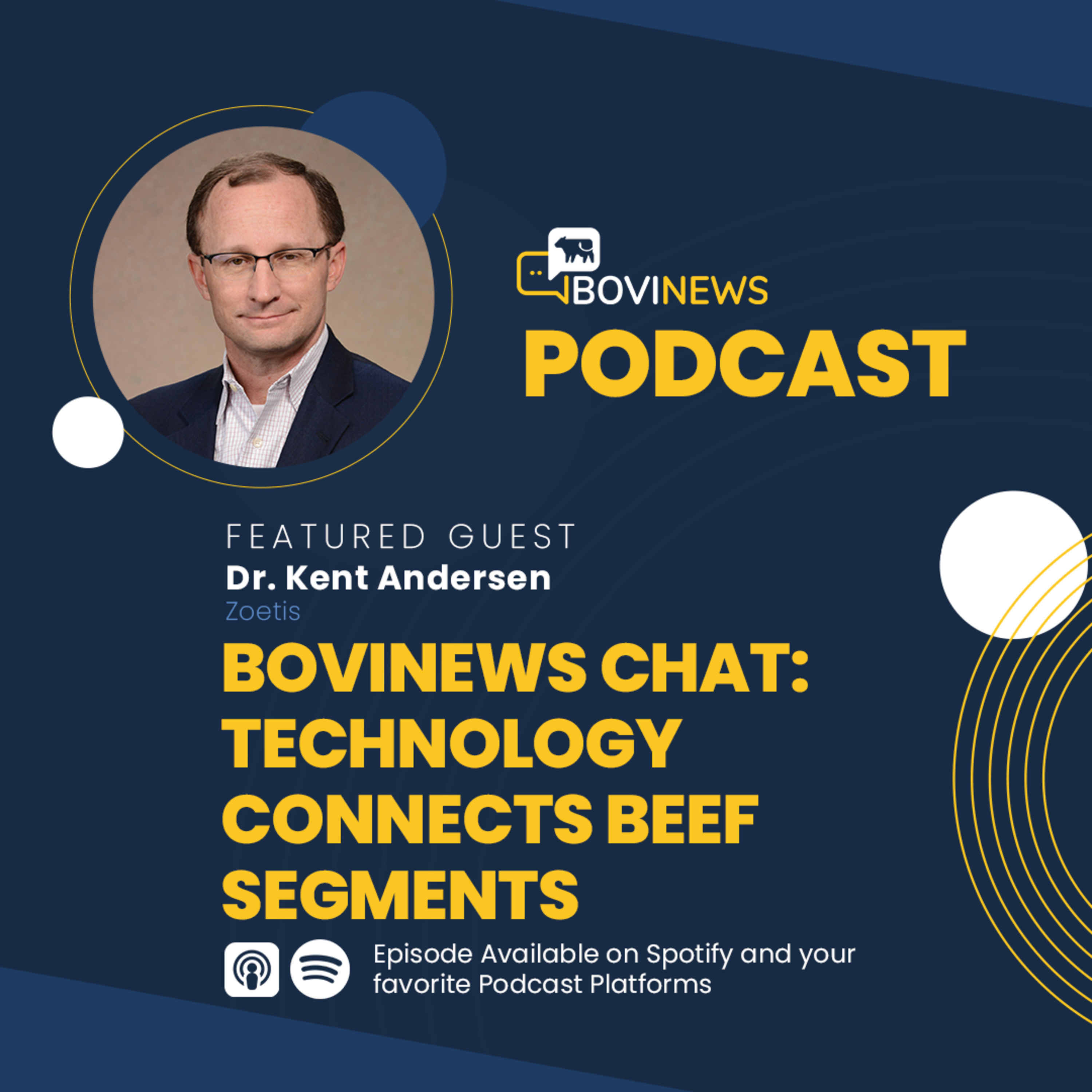 BoviNews