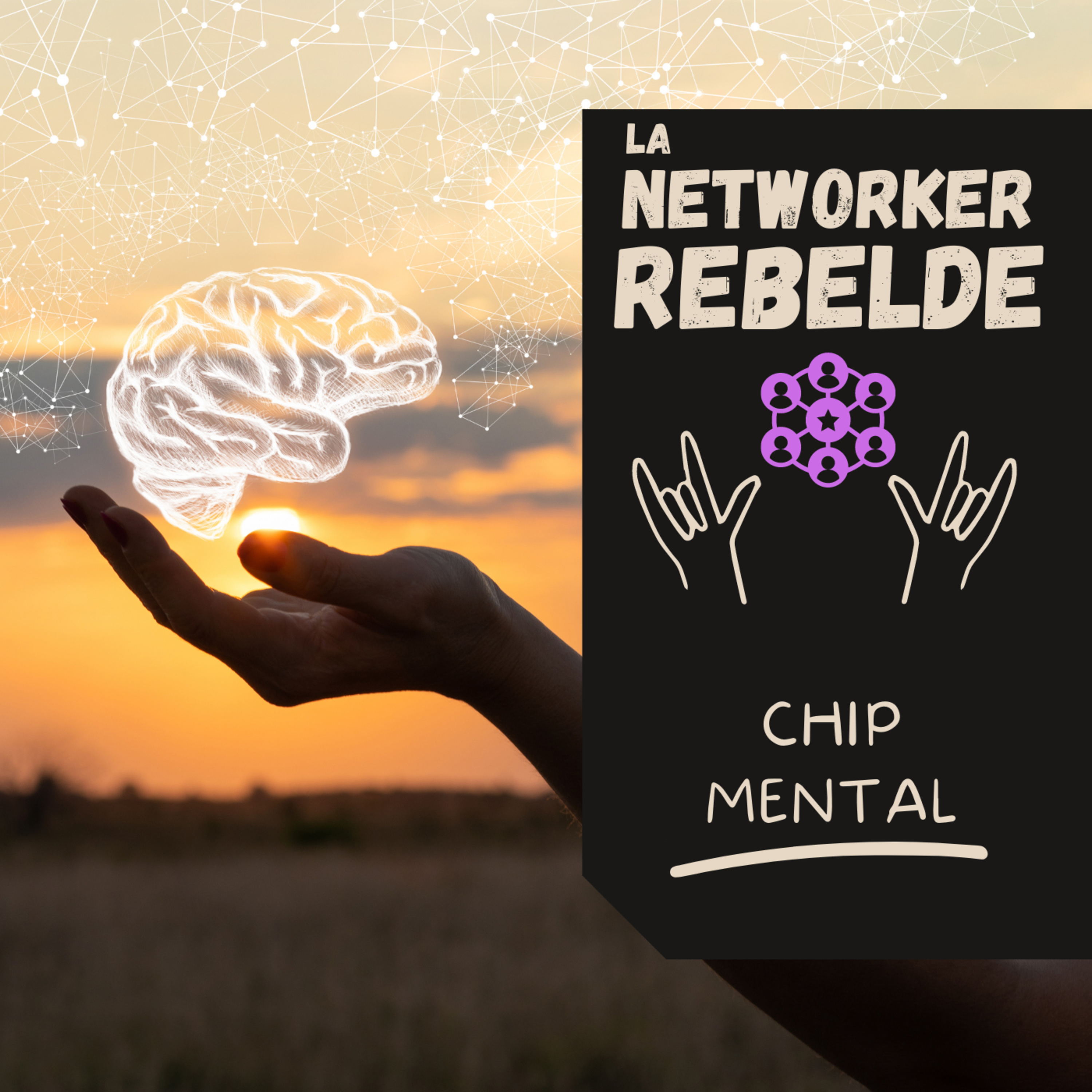 La Networker Rebelde