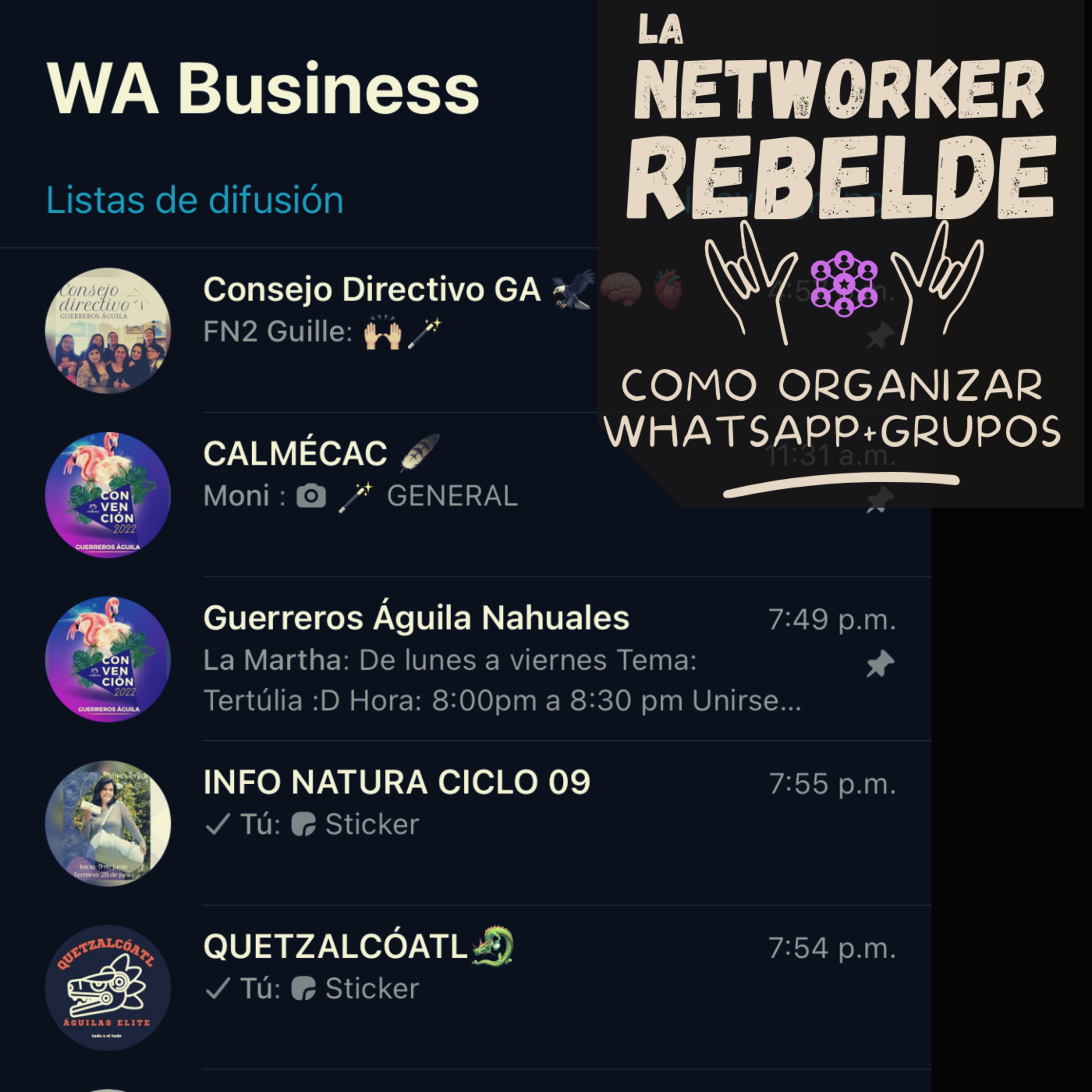 La Networker Rebelde