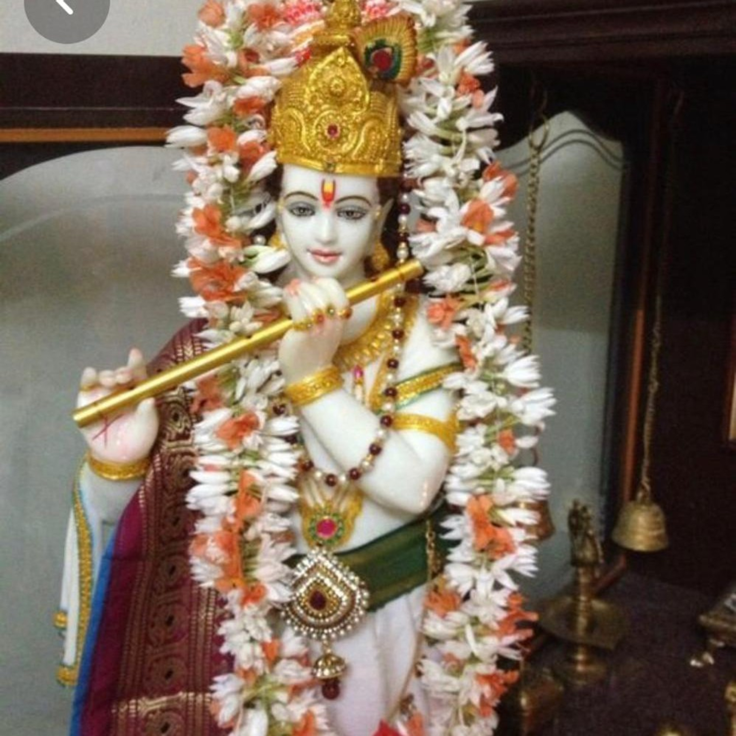 Punarnava