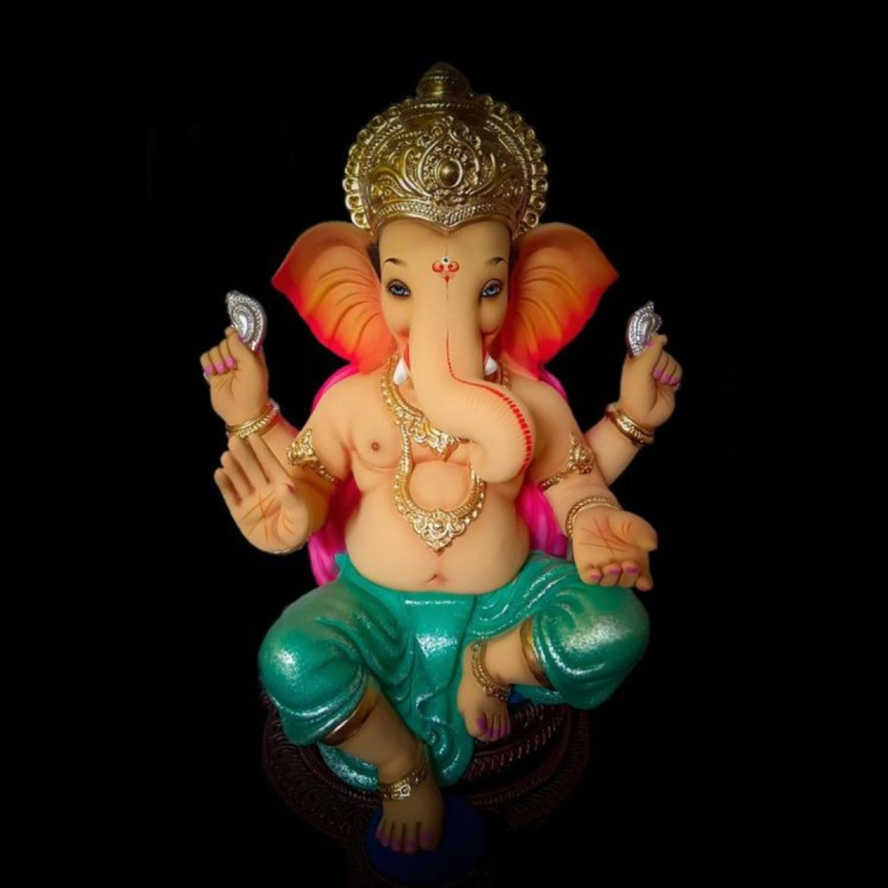 Punarnava