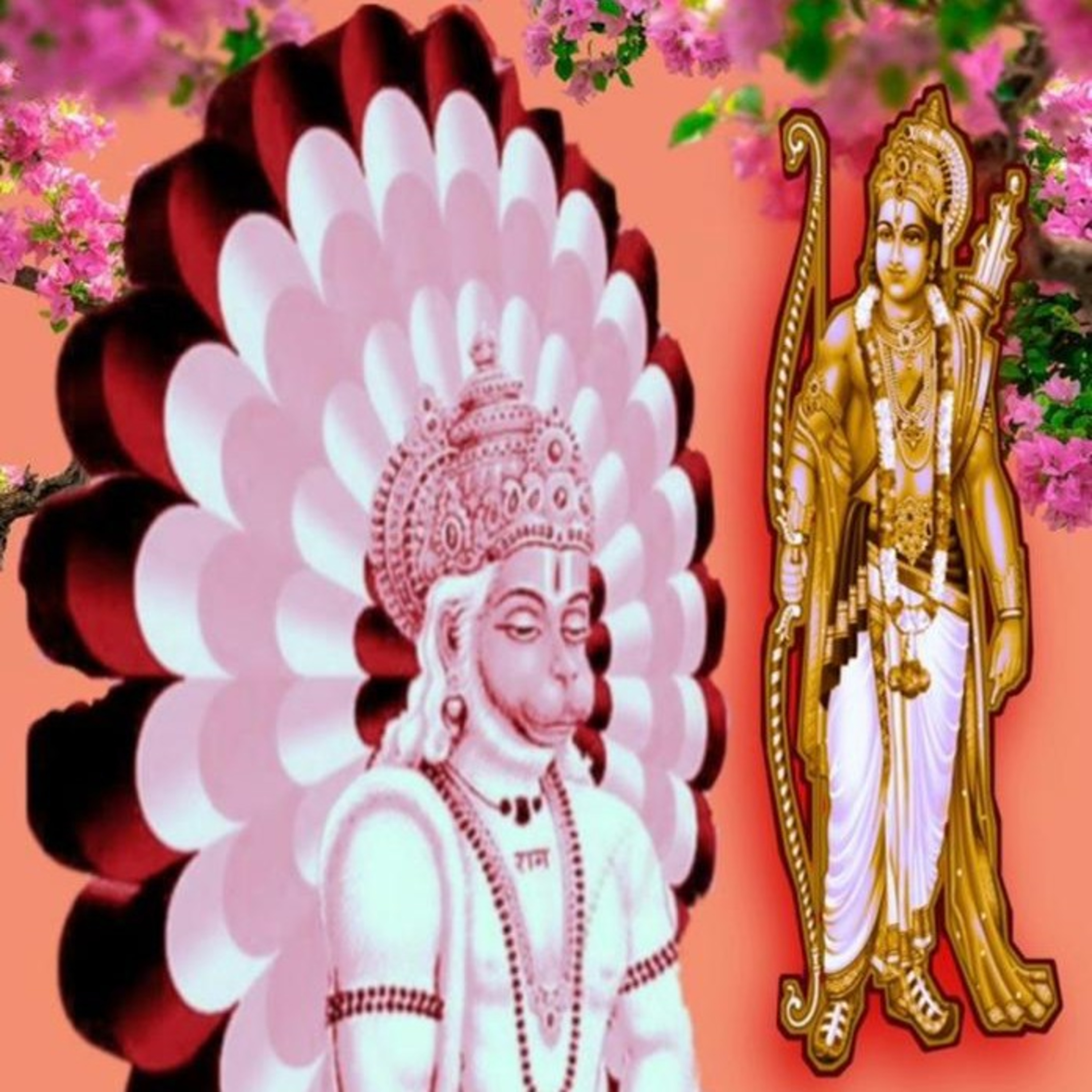Punarnava
