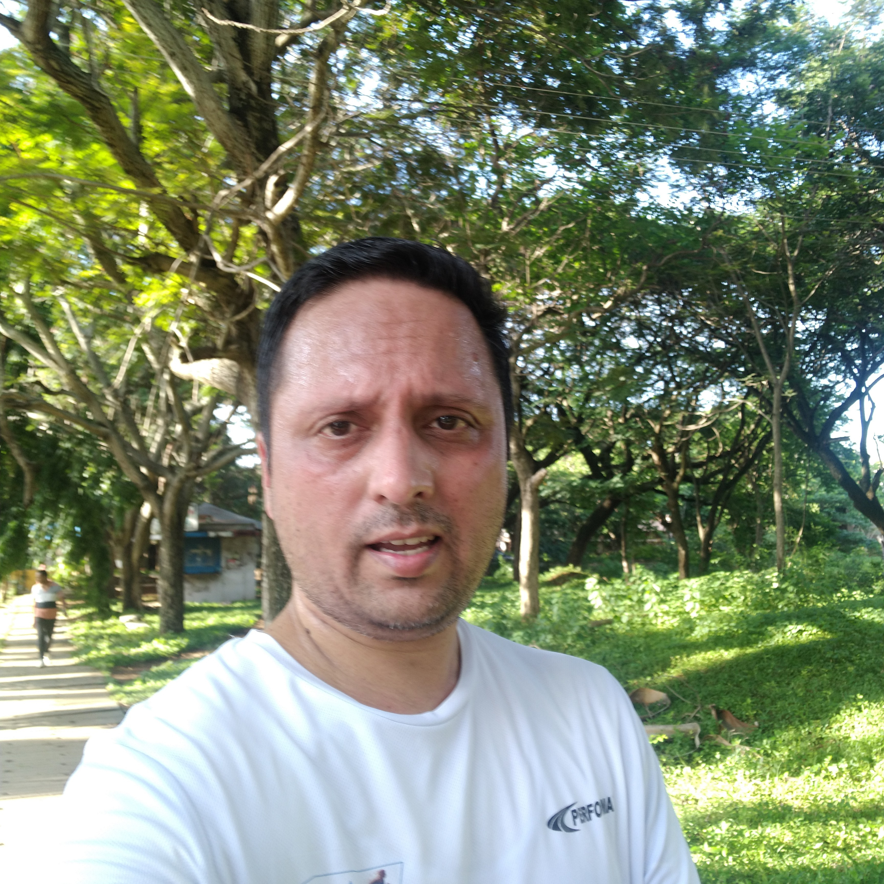 Punarnava