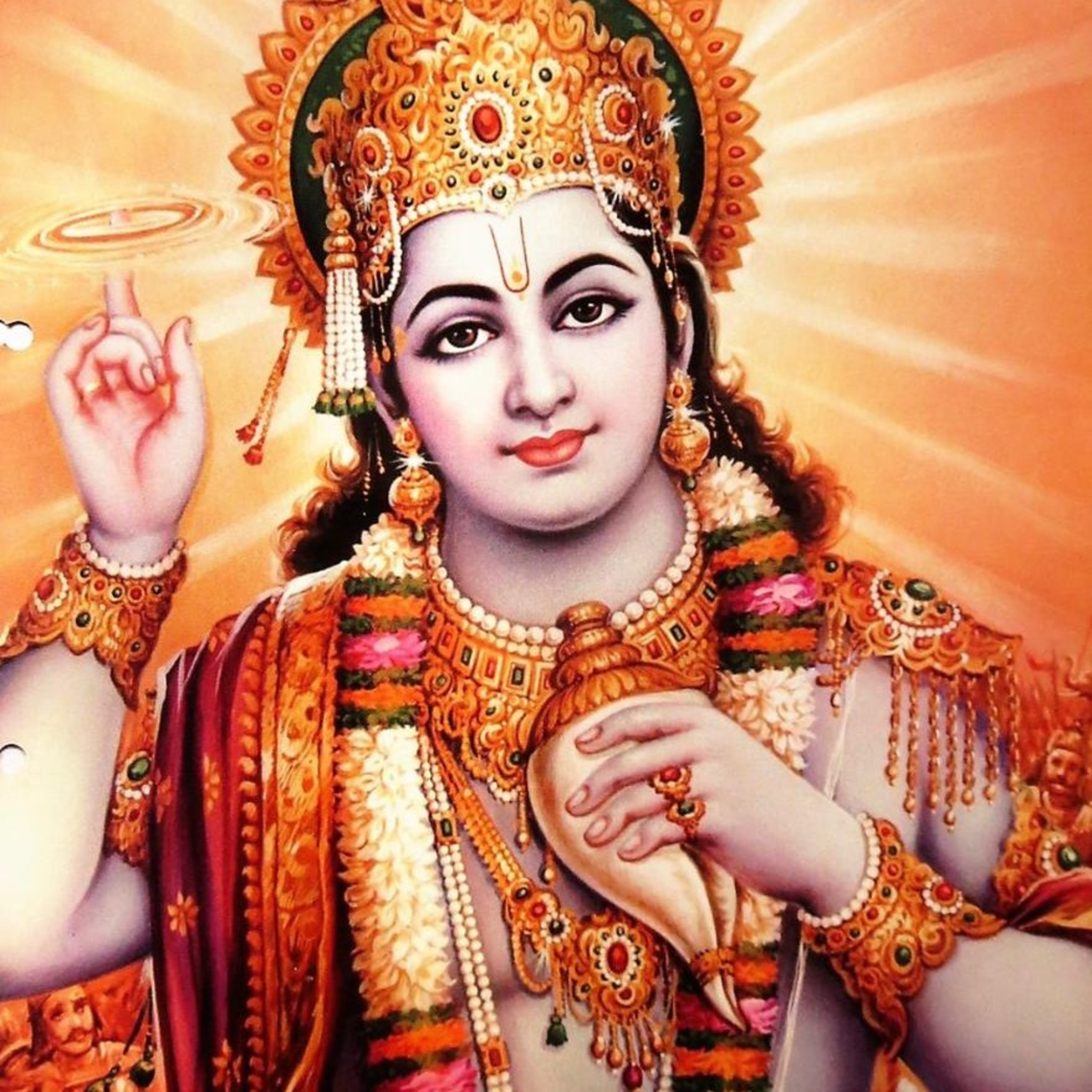 Punarnava