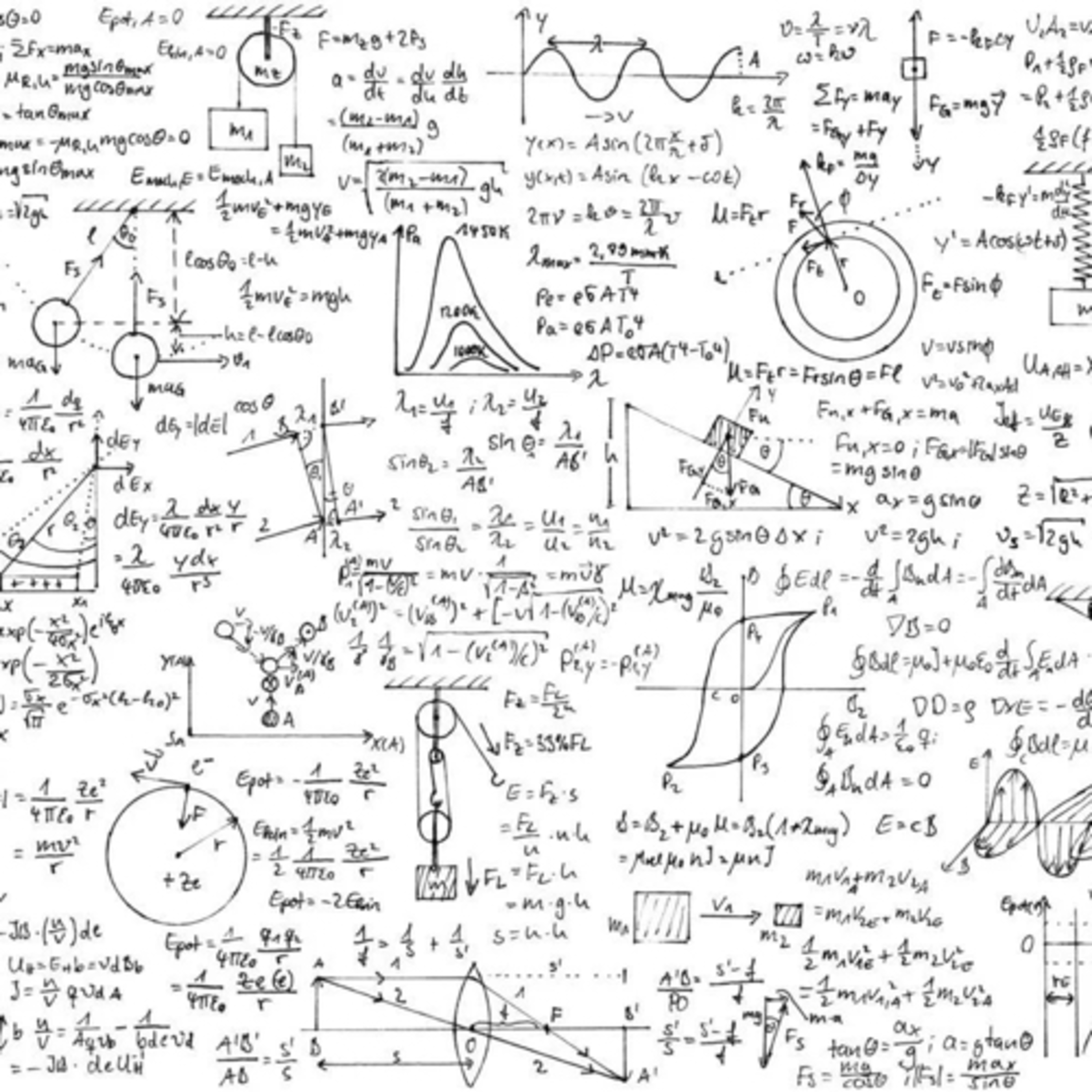 The Government’s Appropriation