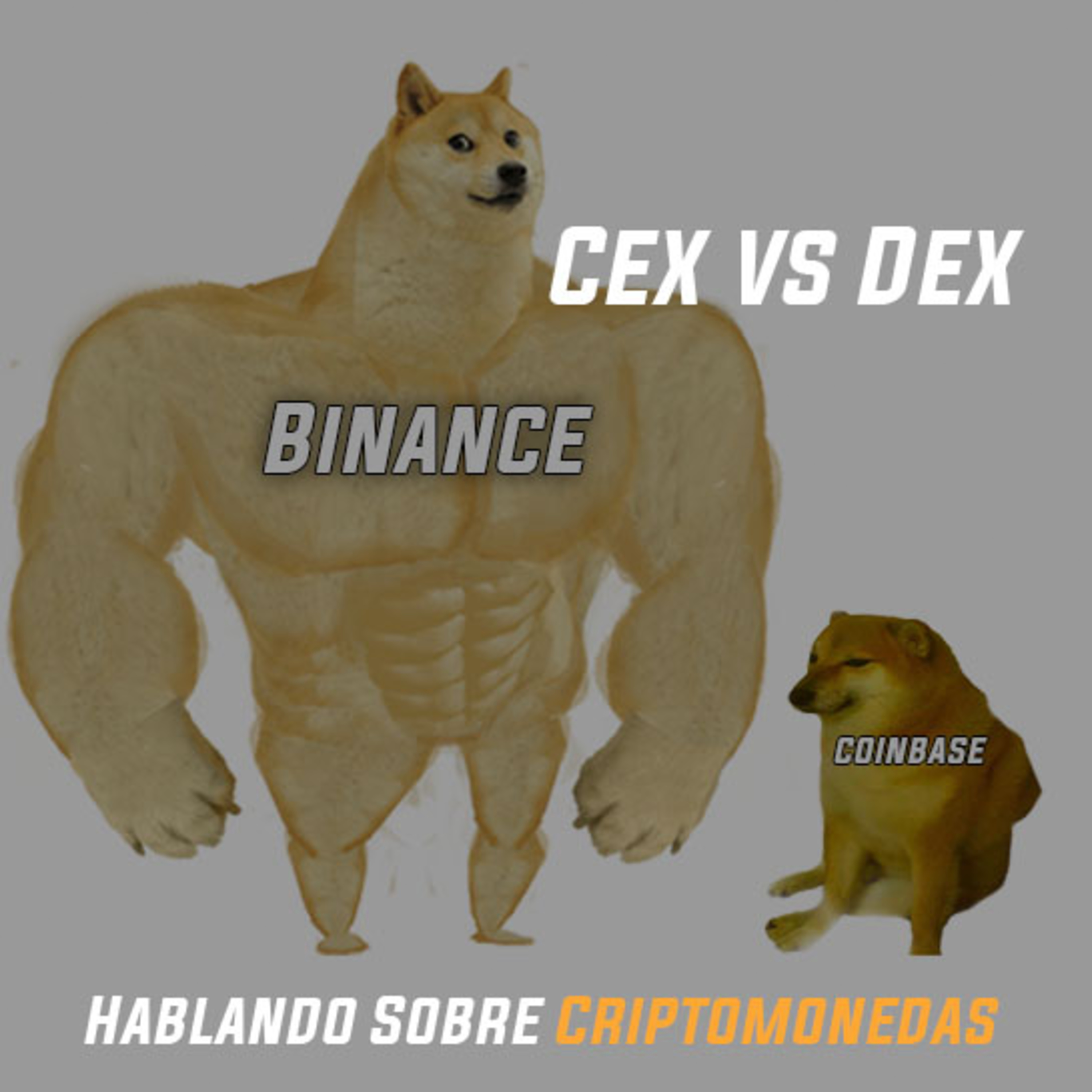 Hablando sobre Criptomonedas