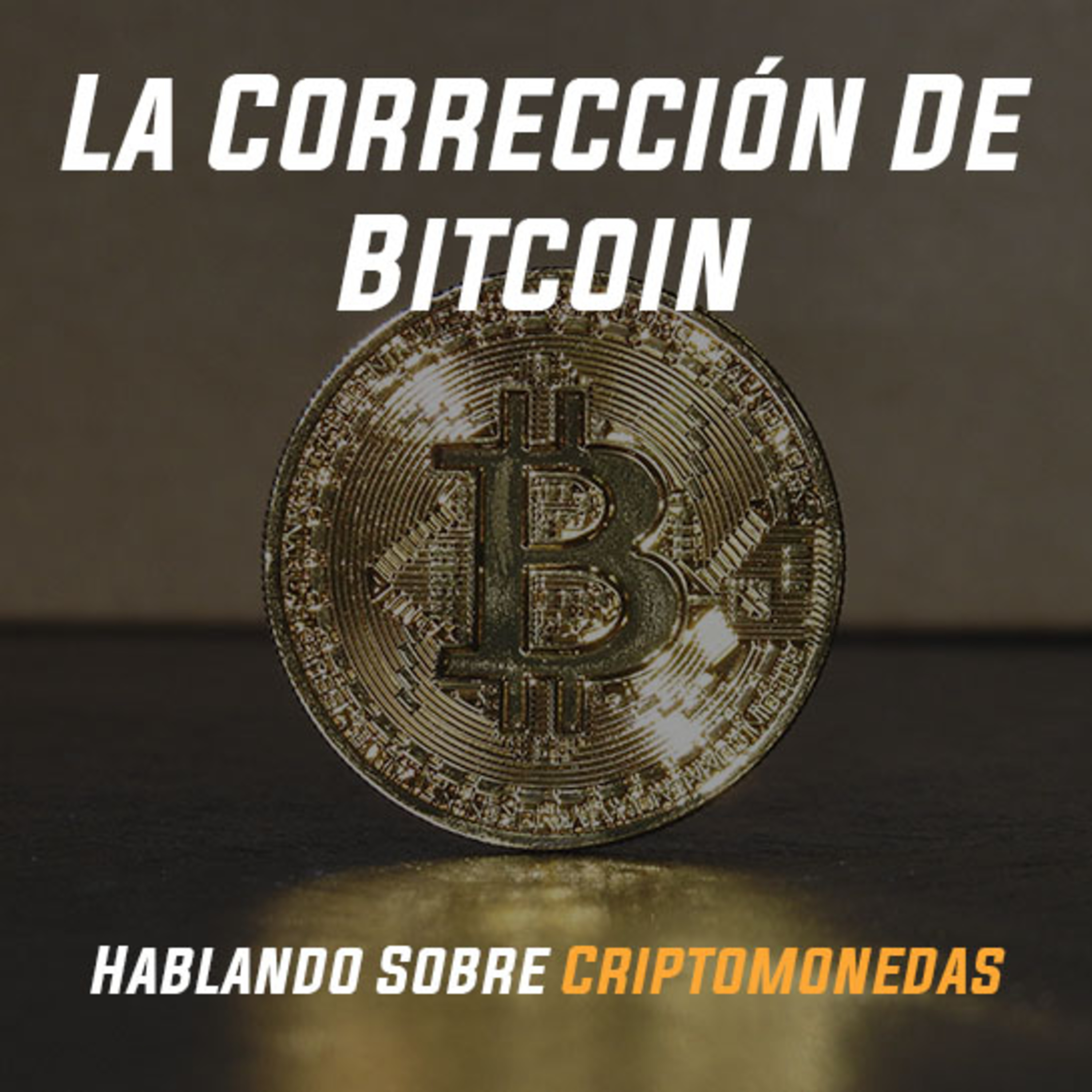 Hablando sobre Criptomonedas