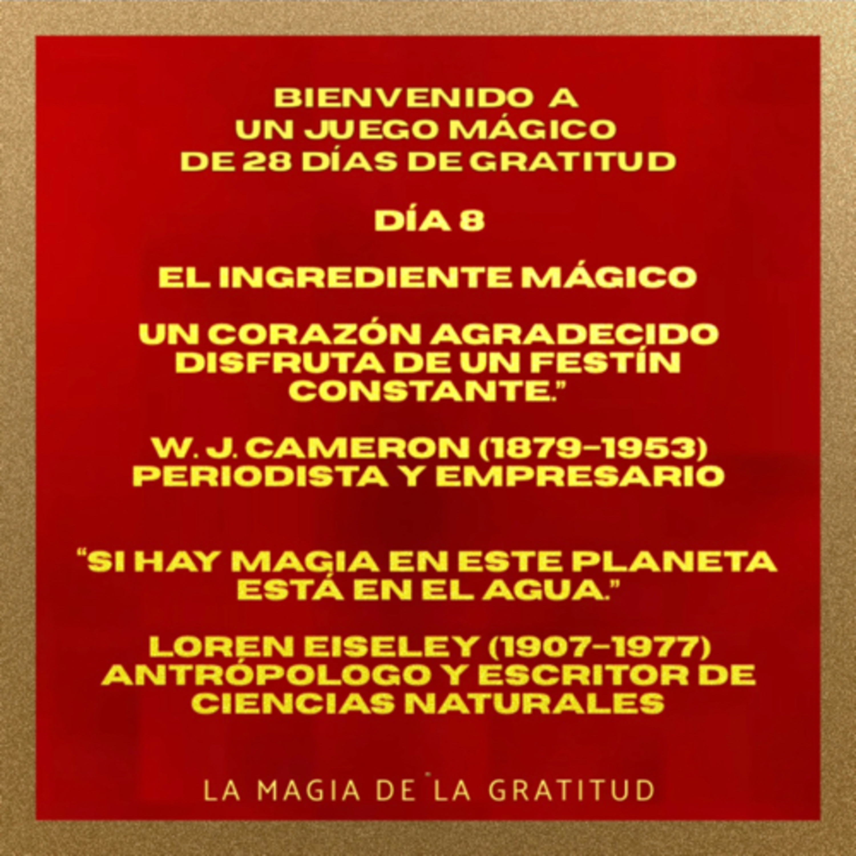 DÍA 8 EL INGREDIENTE MÁGICO 💞
DE UN JUEGO MÁGICO DE 28 DÍAS DE GRATITUD