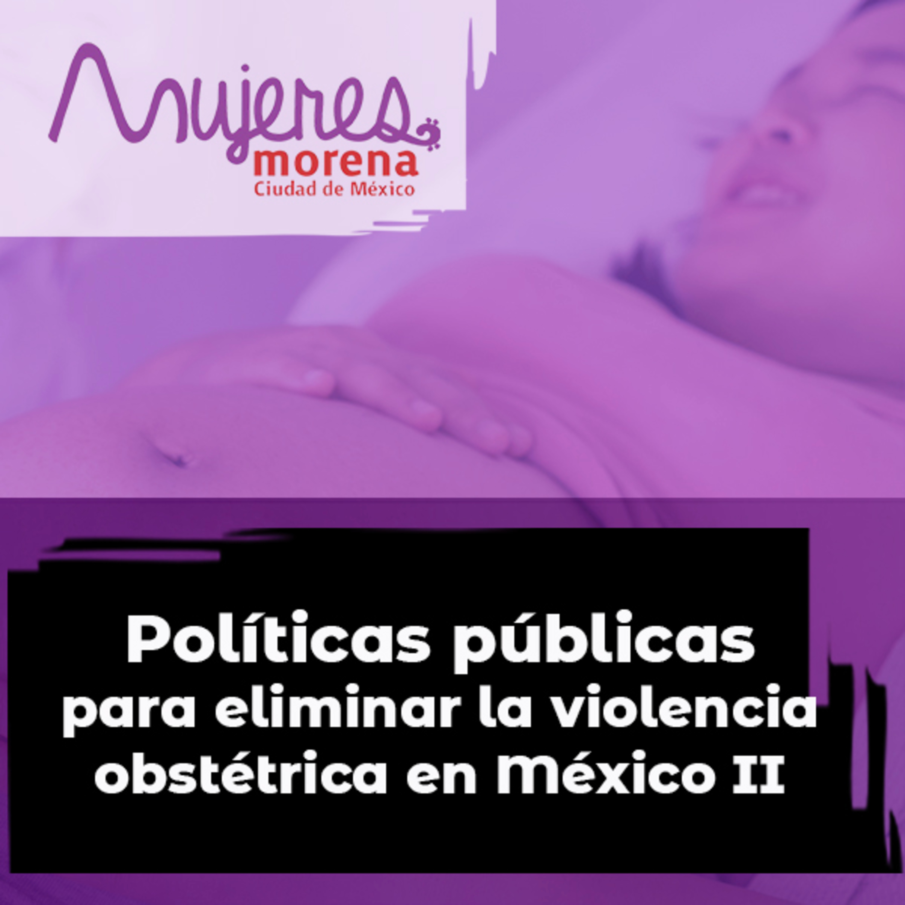 Taller 14 - Políticas públicas para eliminar la violencia obstétrica en México II episode artwork