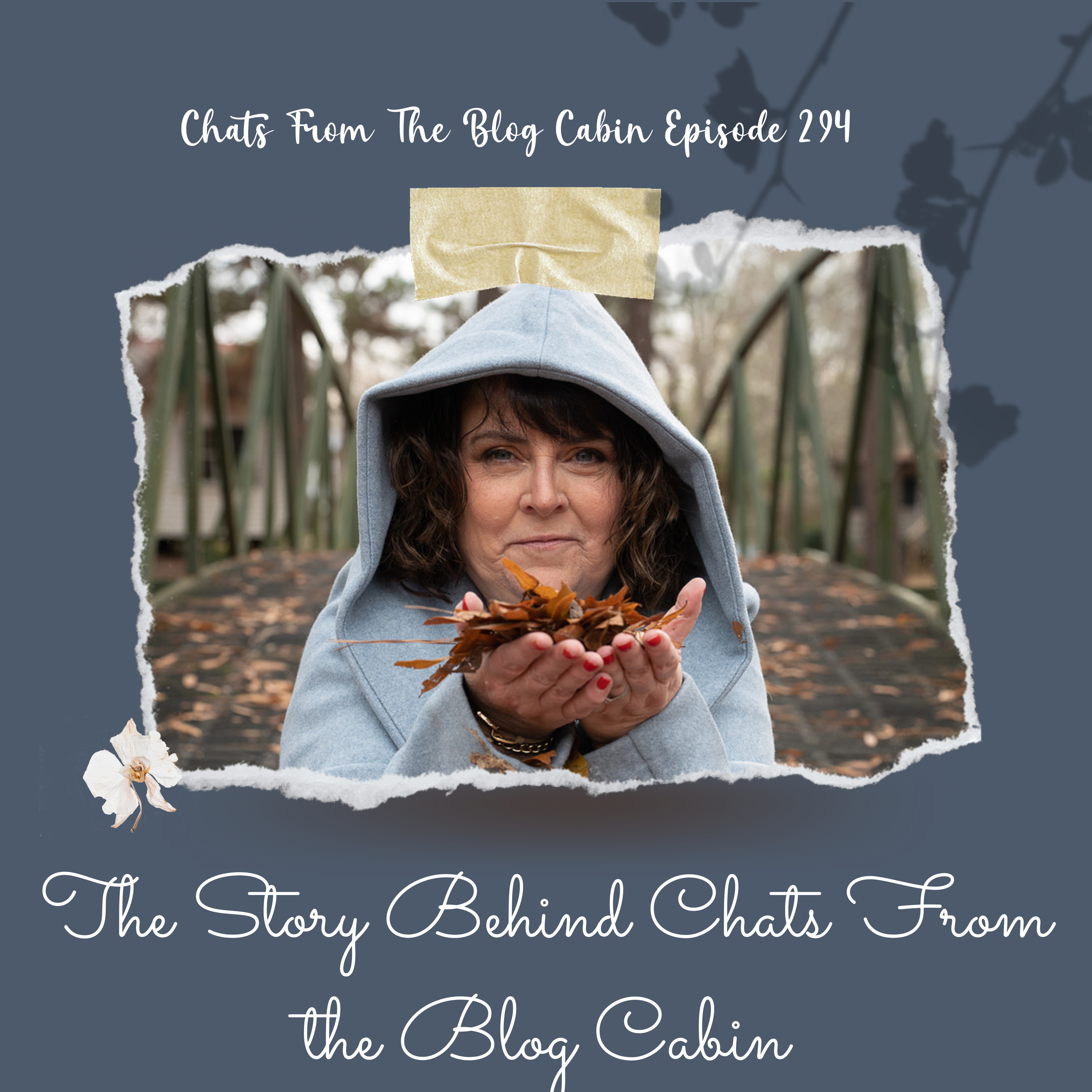 Chats from the Blog Cabin