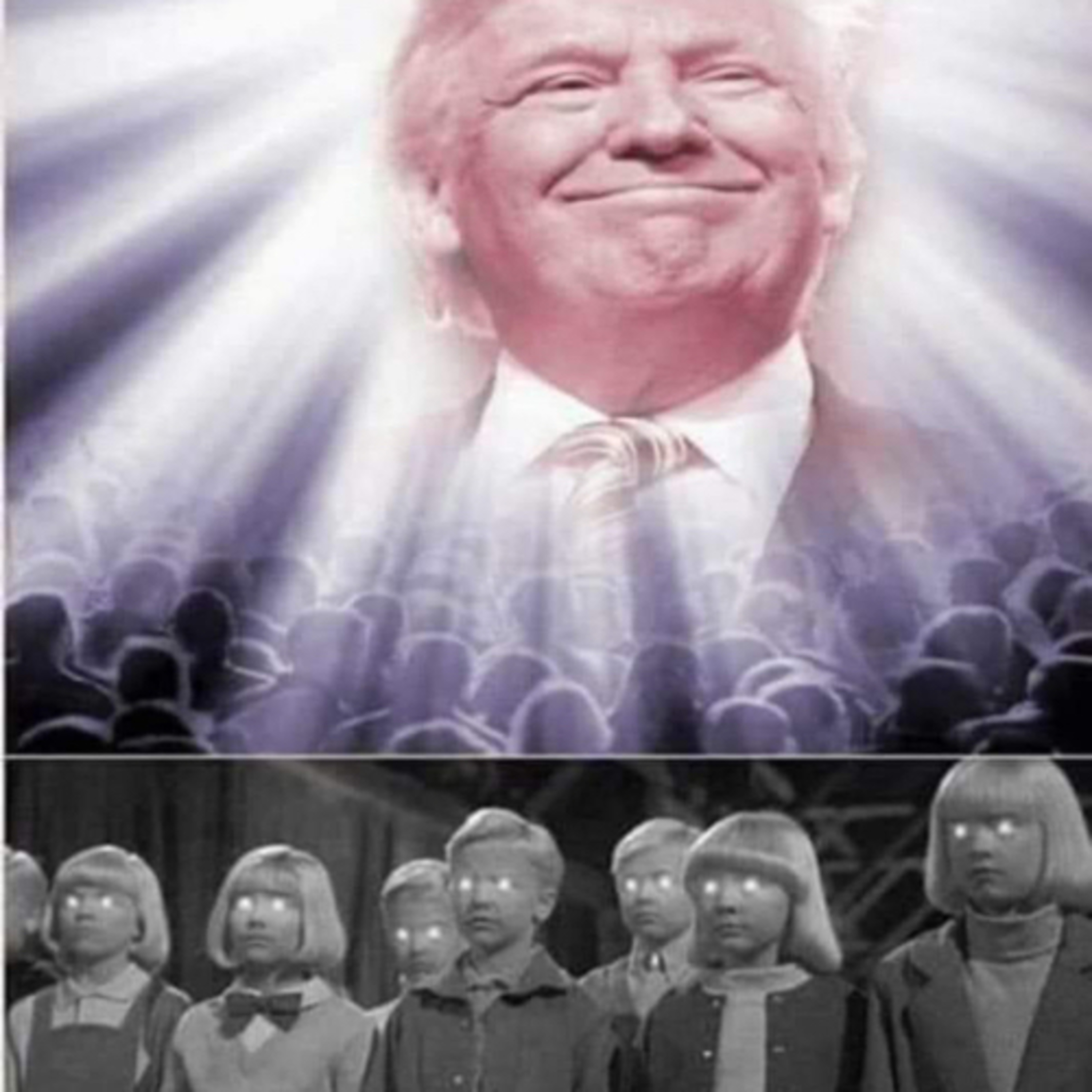 Thoughts About The Lemmings Who Follow Donald Trump  episode artwork