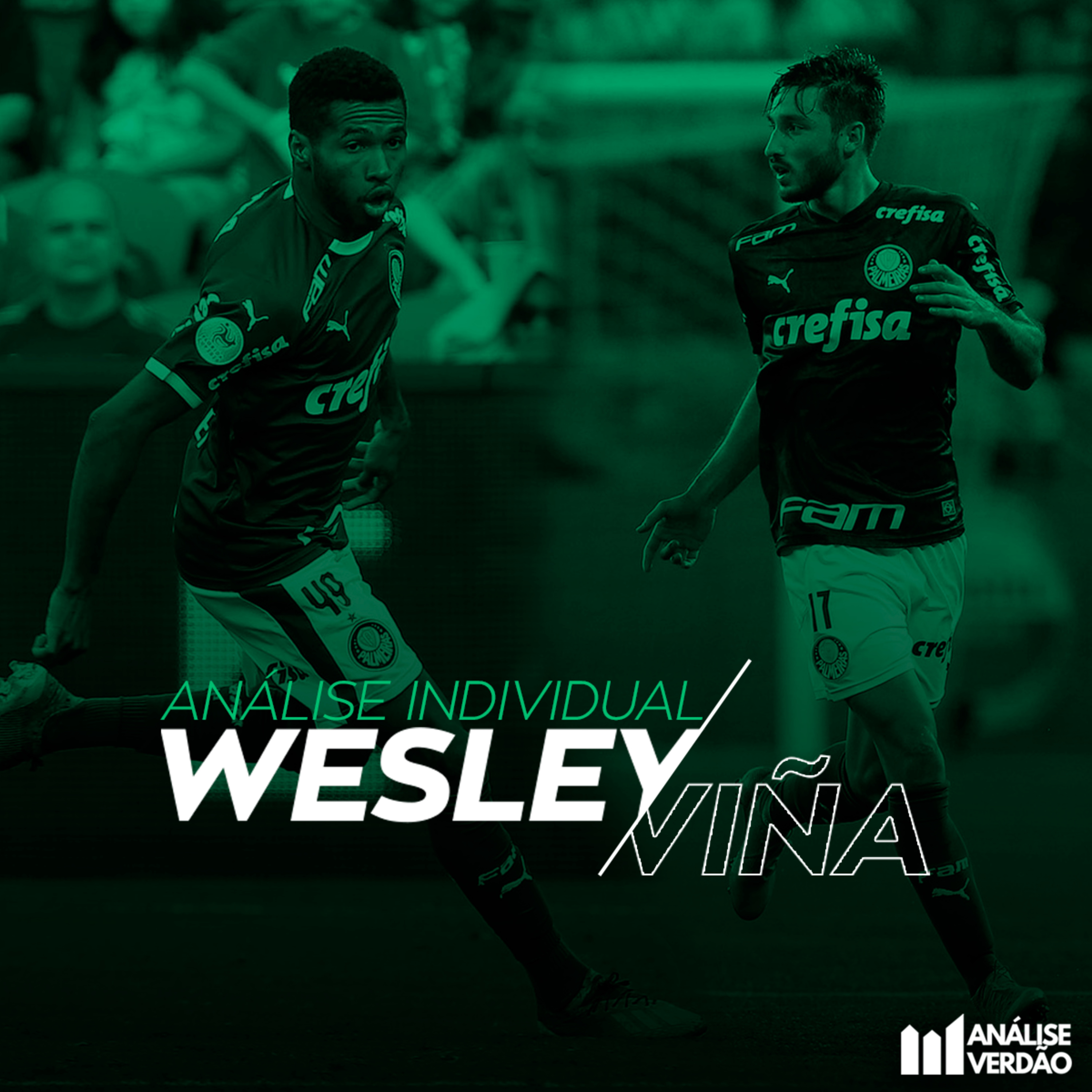 Análise Verdão