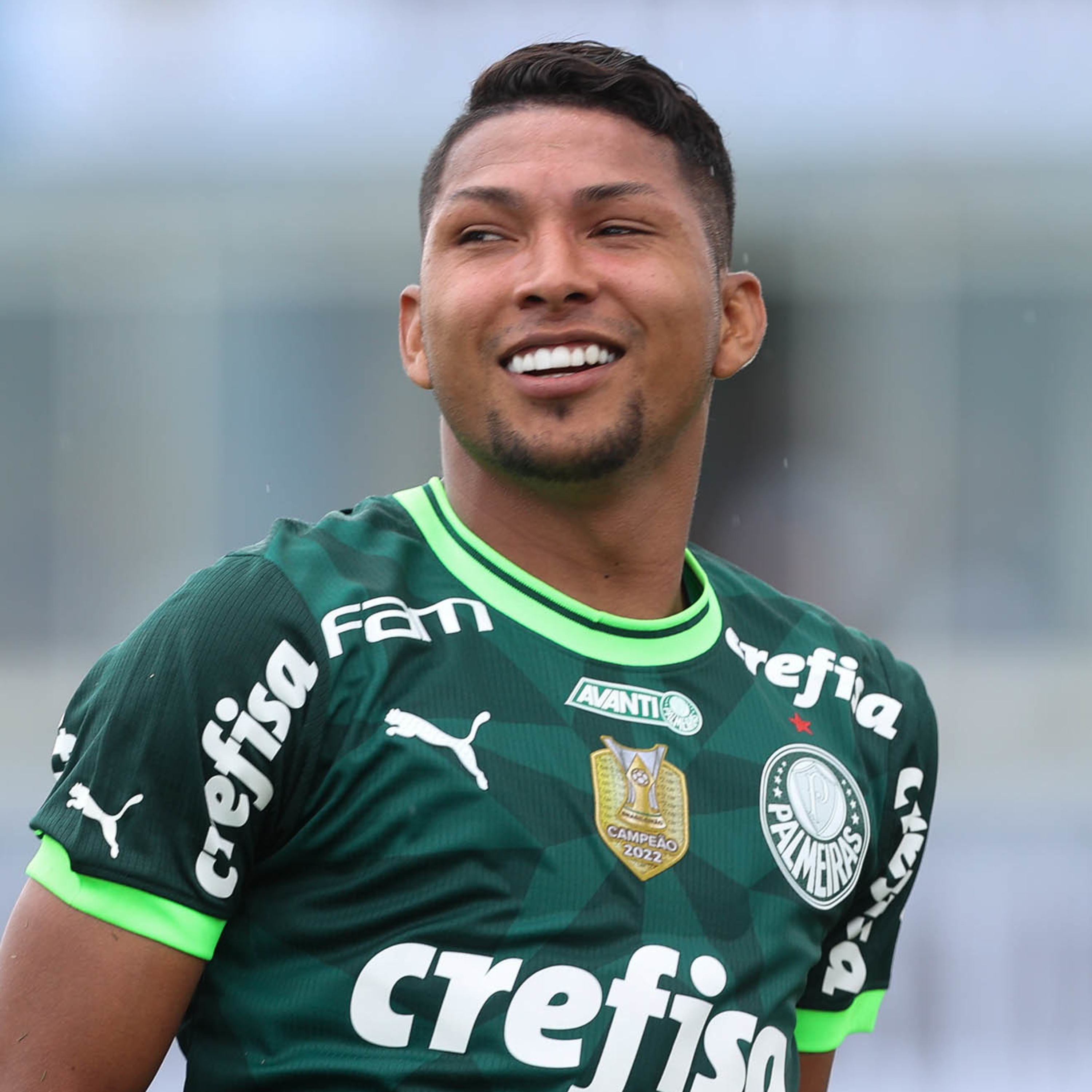 Análise Verdão