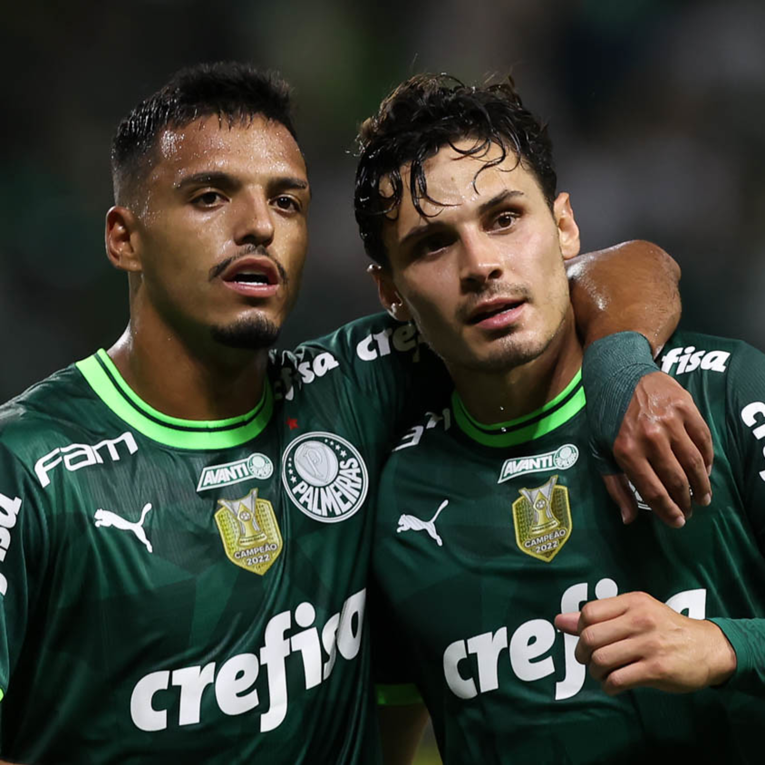 Análise Verdão
