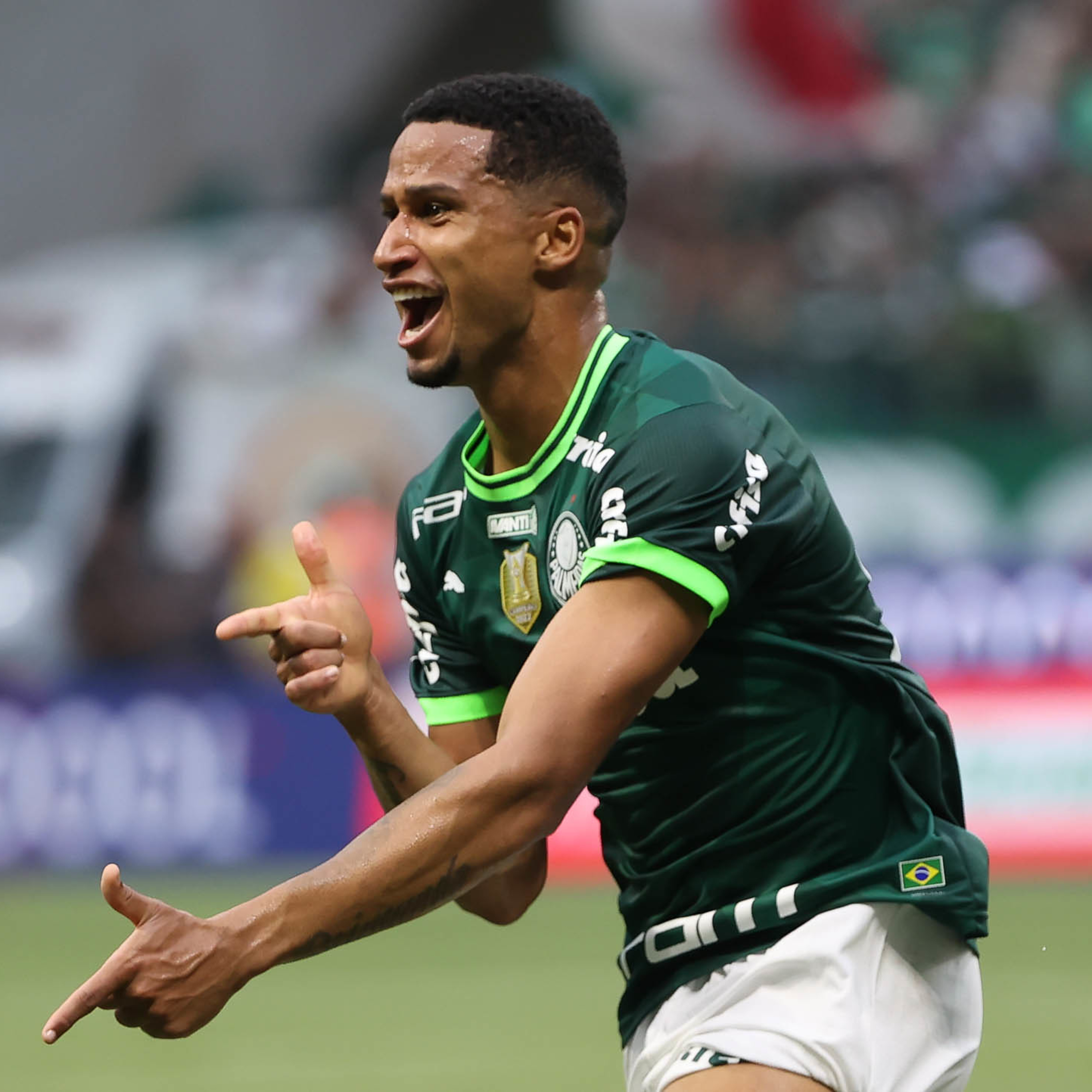 Análise Verdão