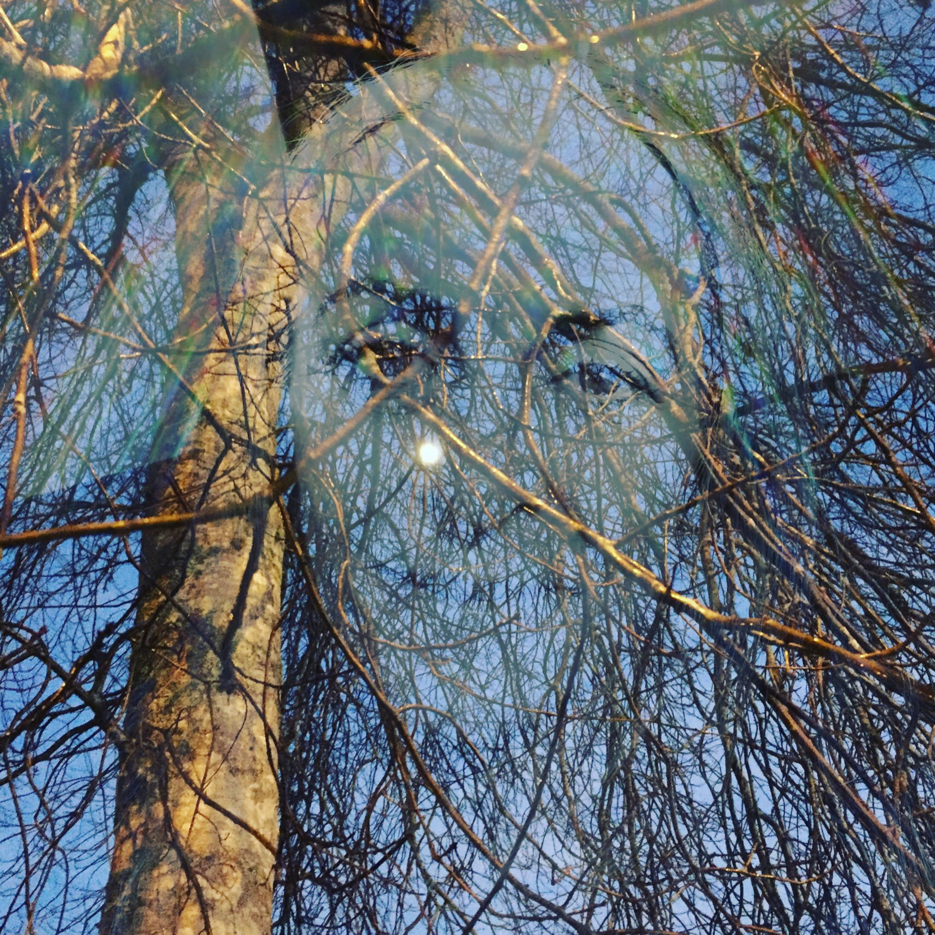 16. Jane Cunningham: where death has taken me
