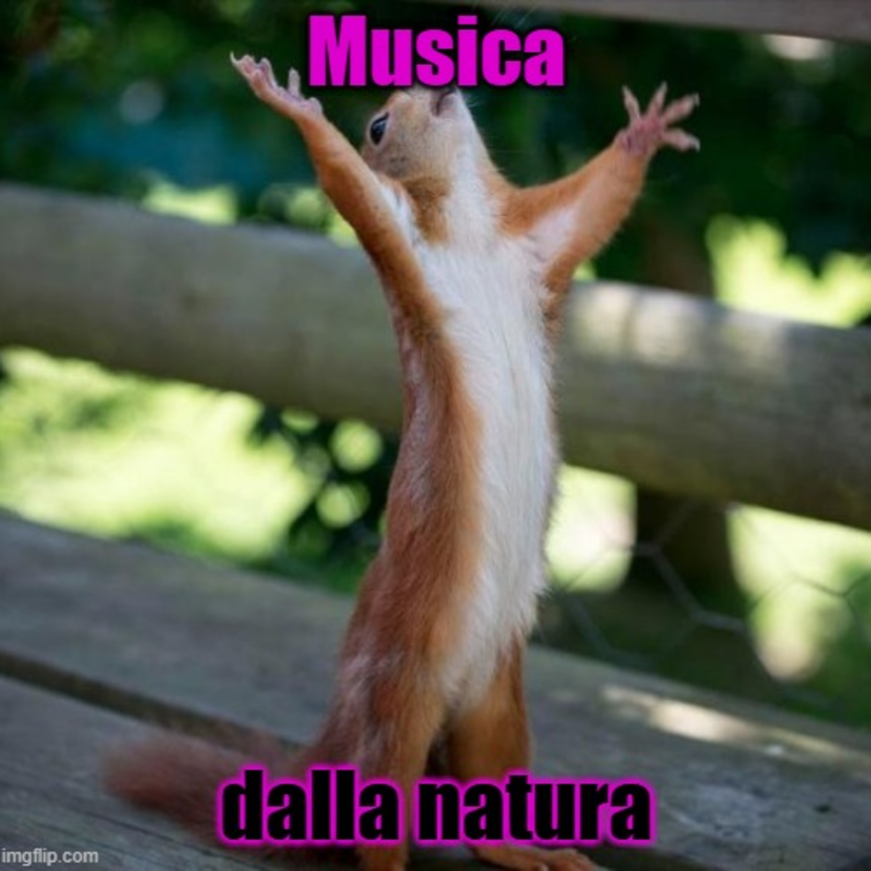 Musica dalla natura