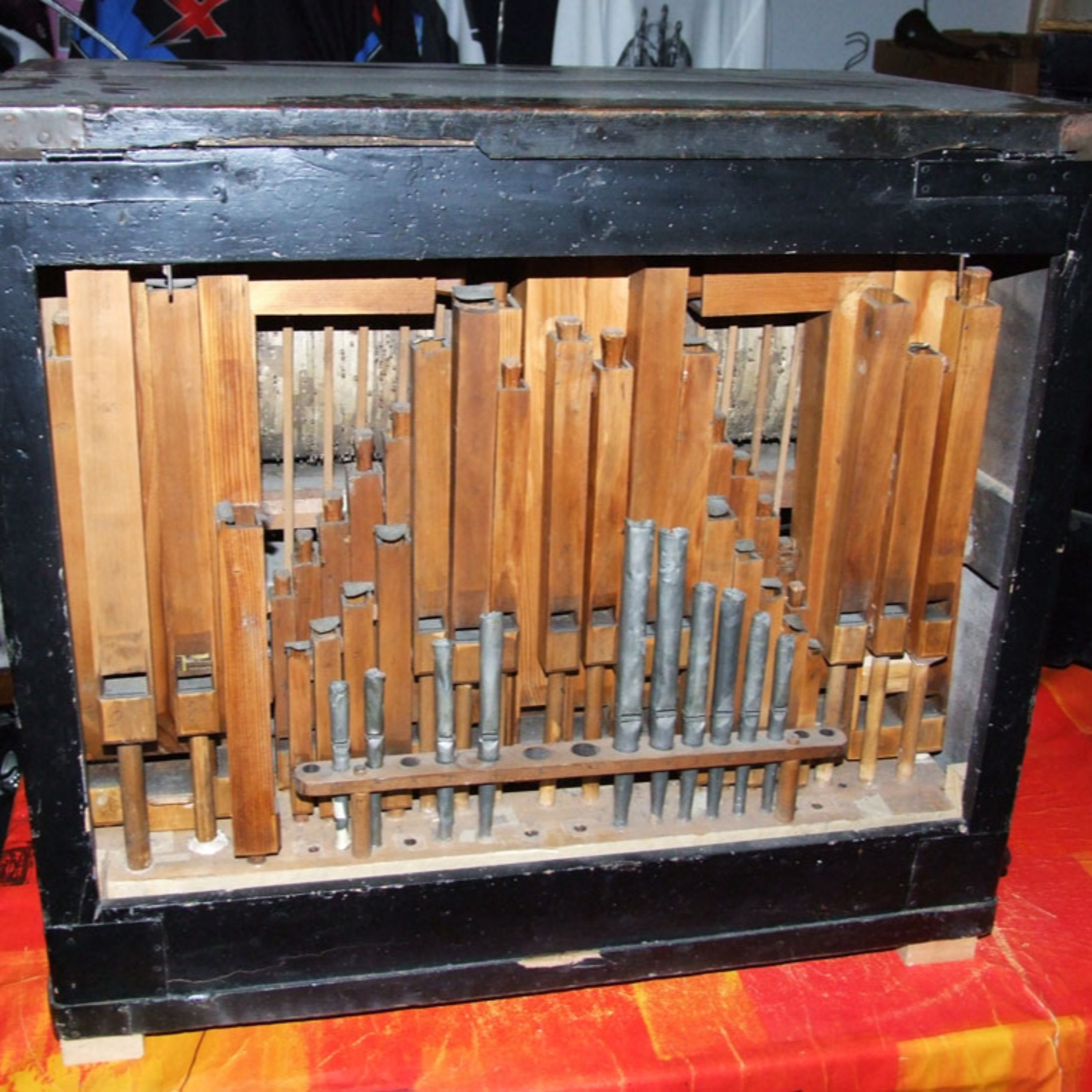 L’ORGANO di BARBERIA