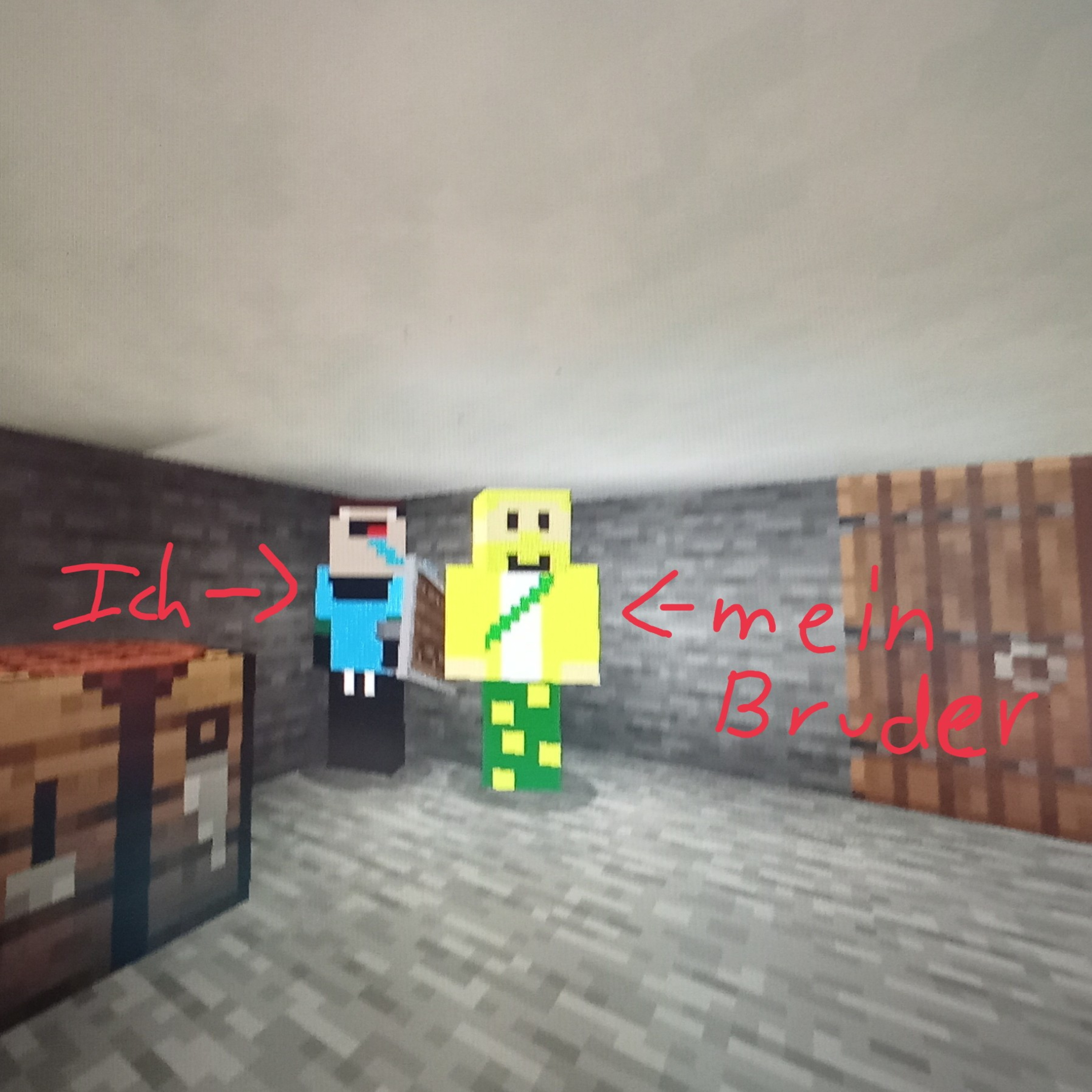 105: Minecraft MIT mein Bruder #1