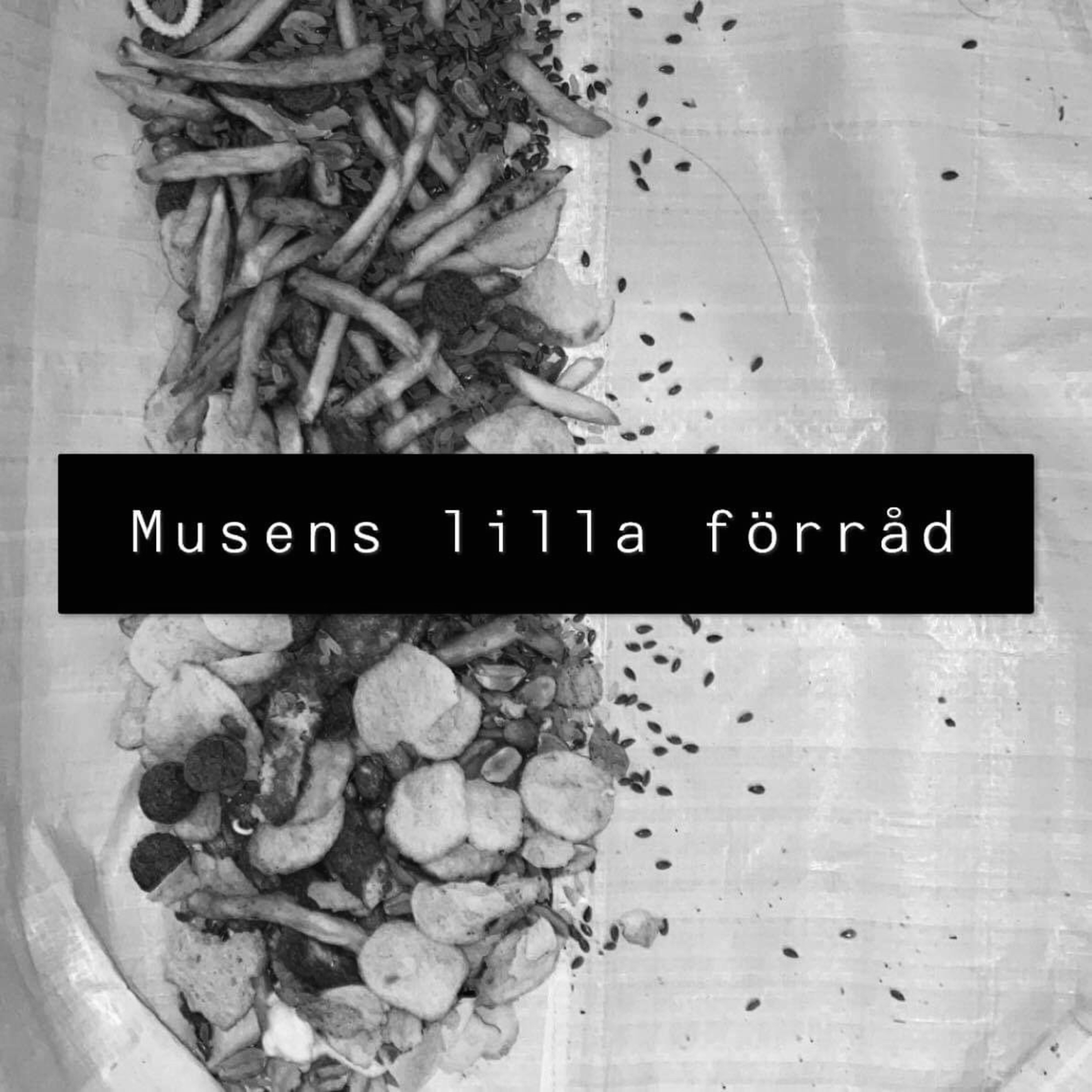 Det ordnar sig med Frida & Emelie