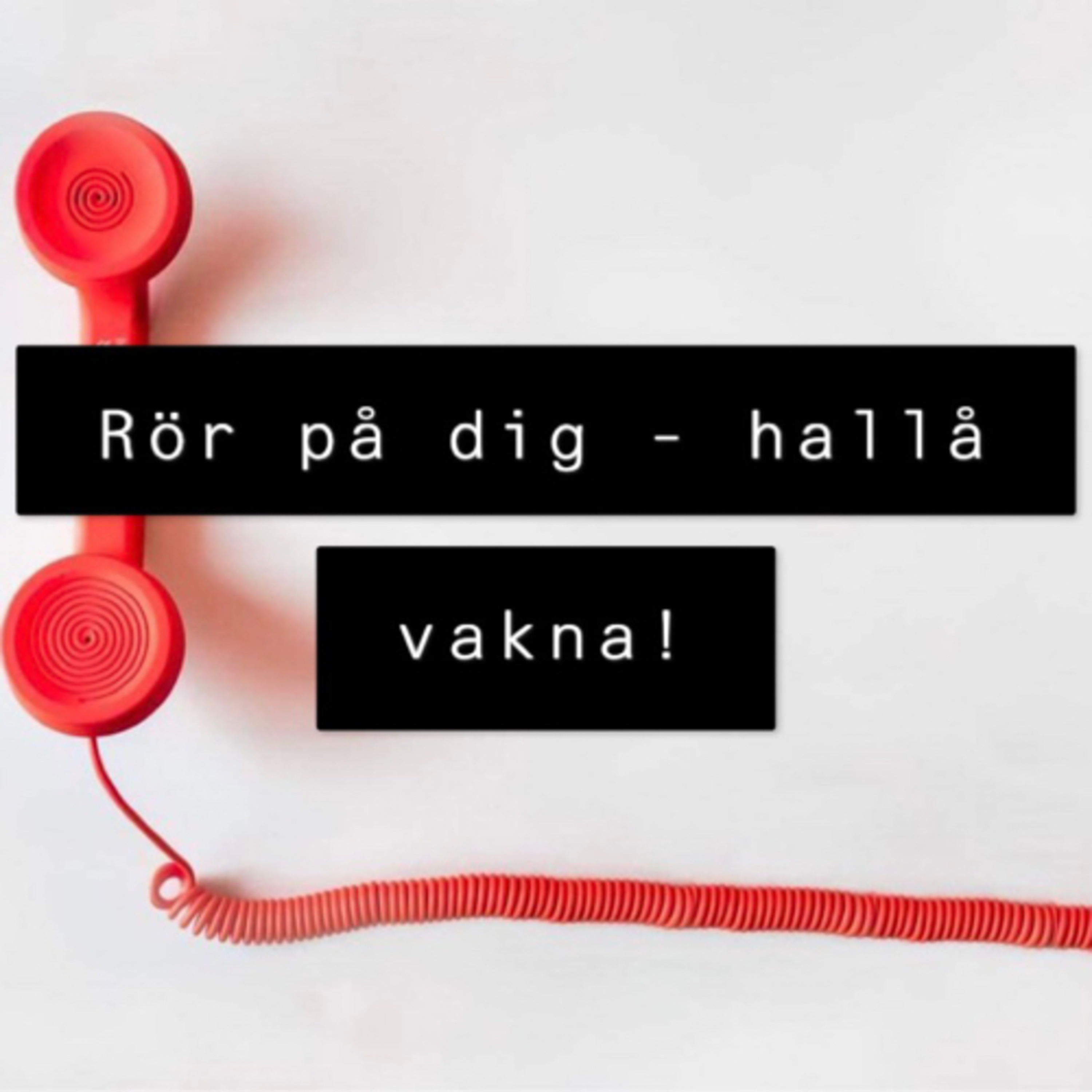 Det ordnar sig med Frida & Emelie