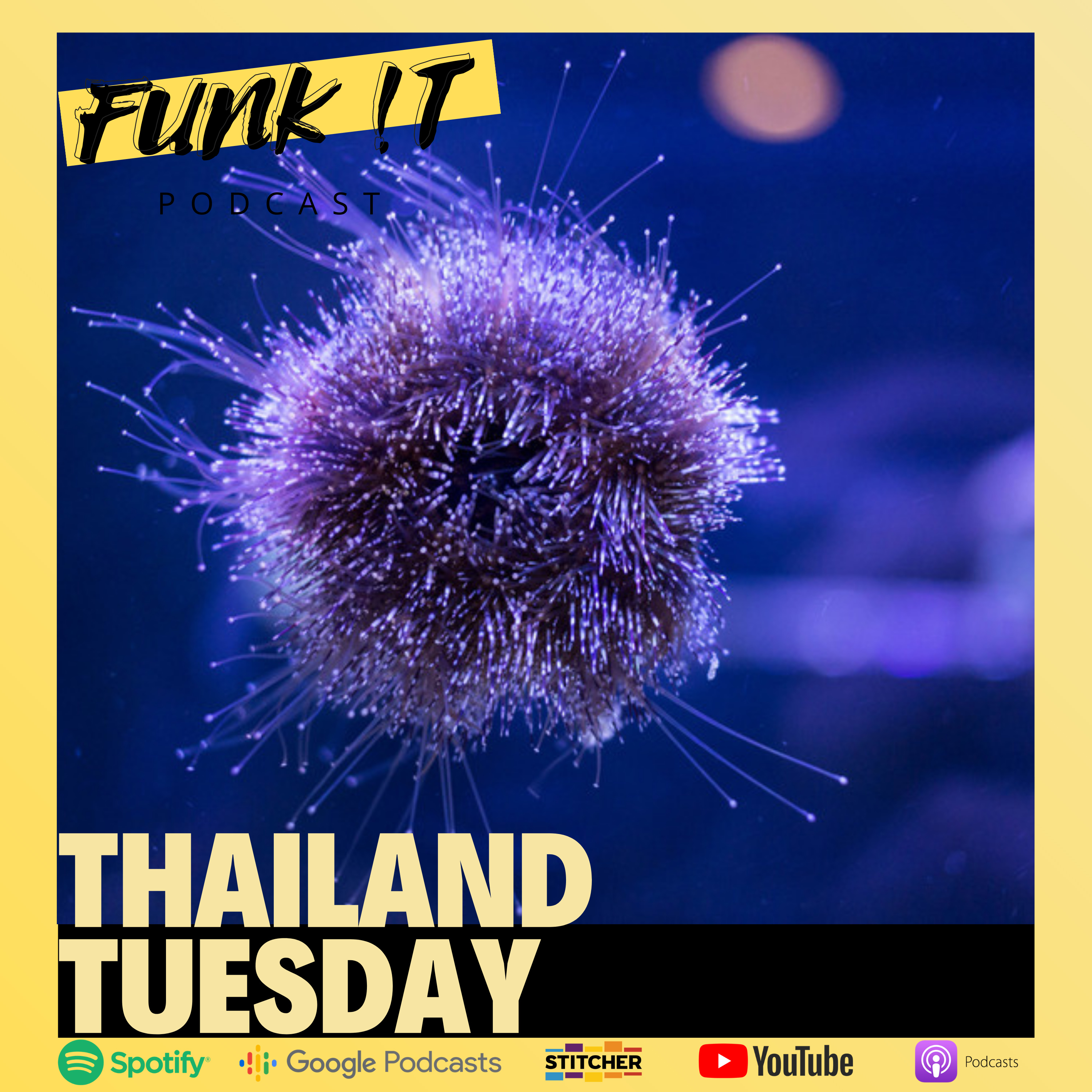 Thailand Tuesday | Very Urchin episode artwork