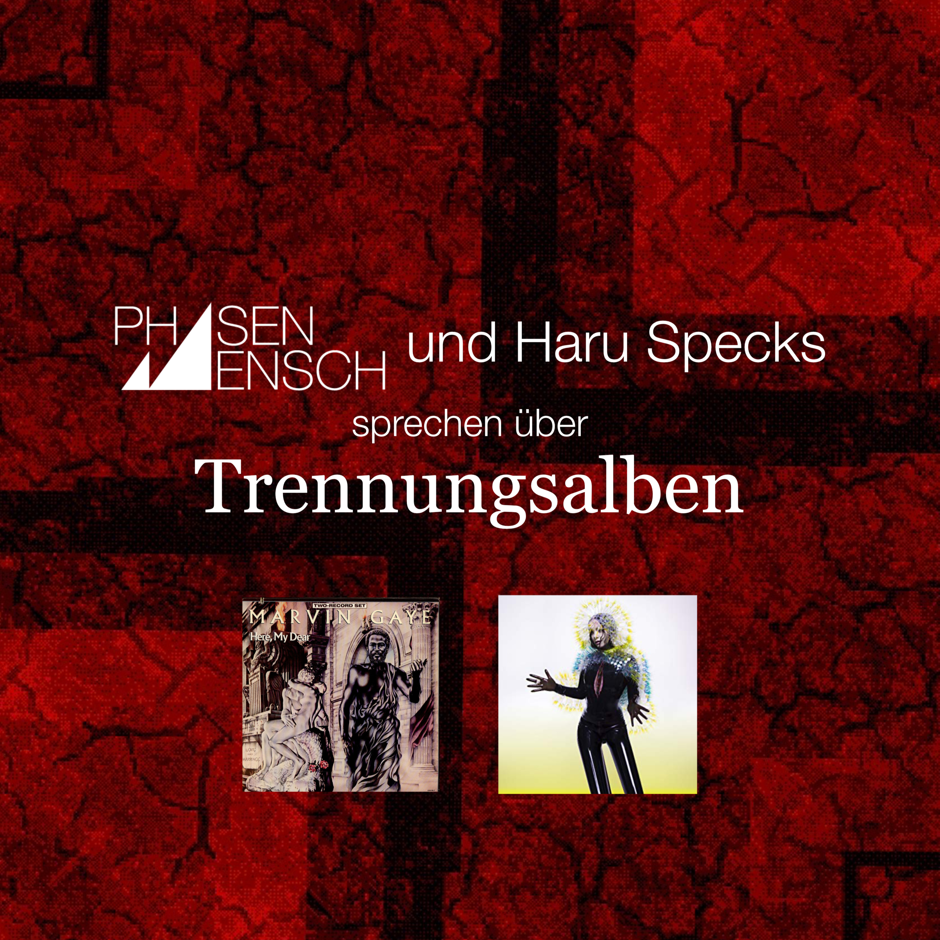 Phasenmensch im Gespräch