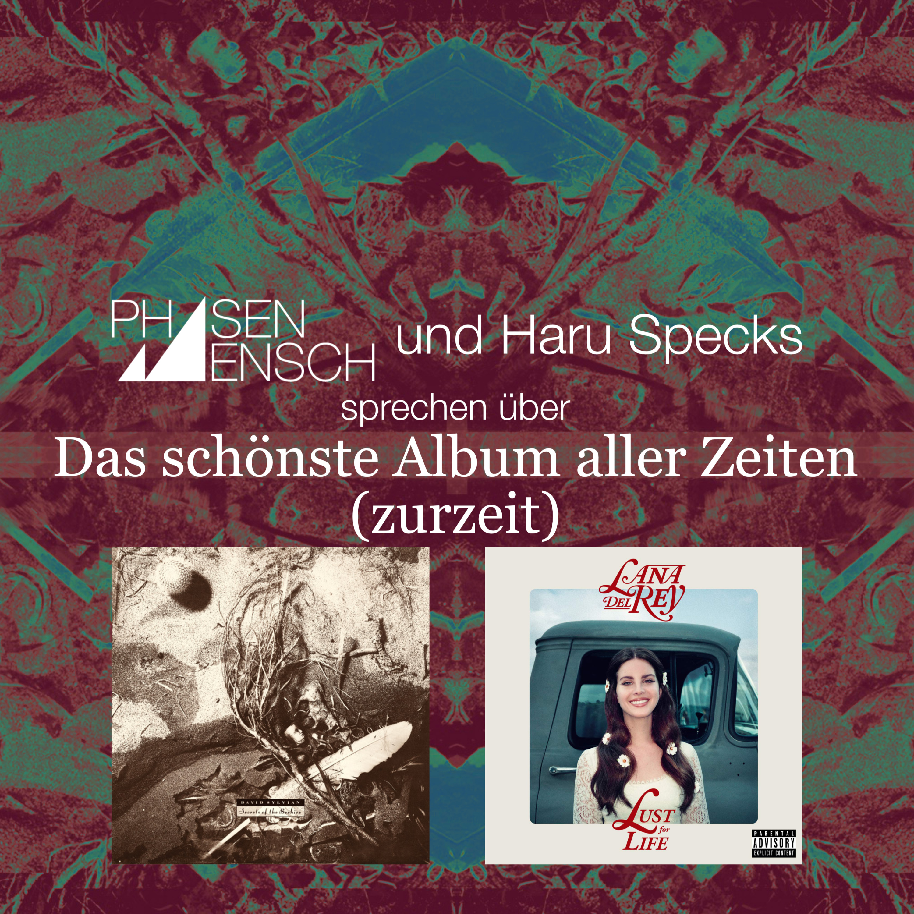 Phasenmensch im Gespräch