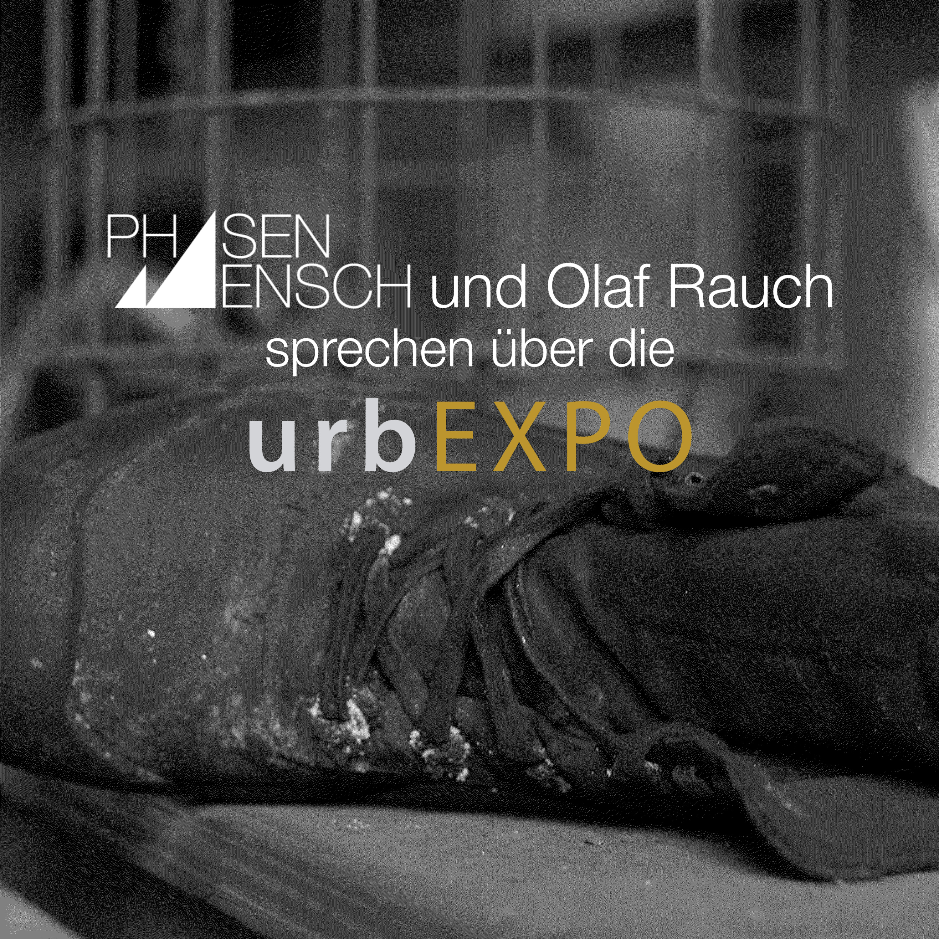 Phasenmensch im Gespräch