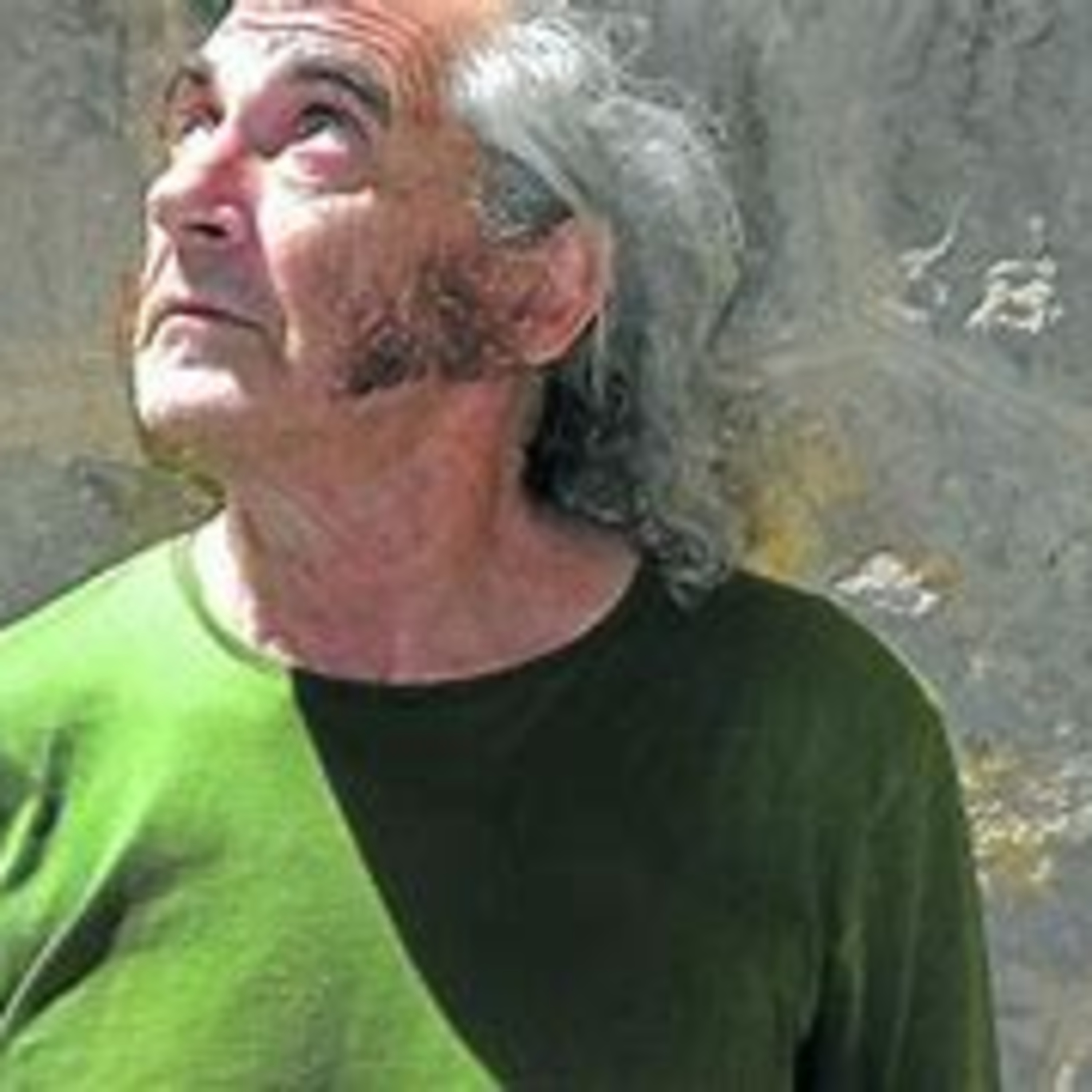 L\'Arlequí