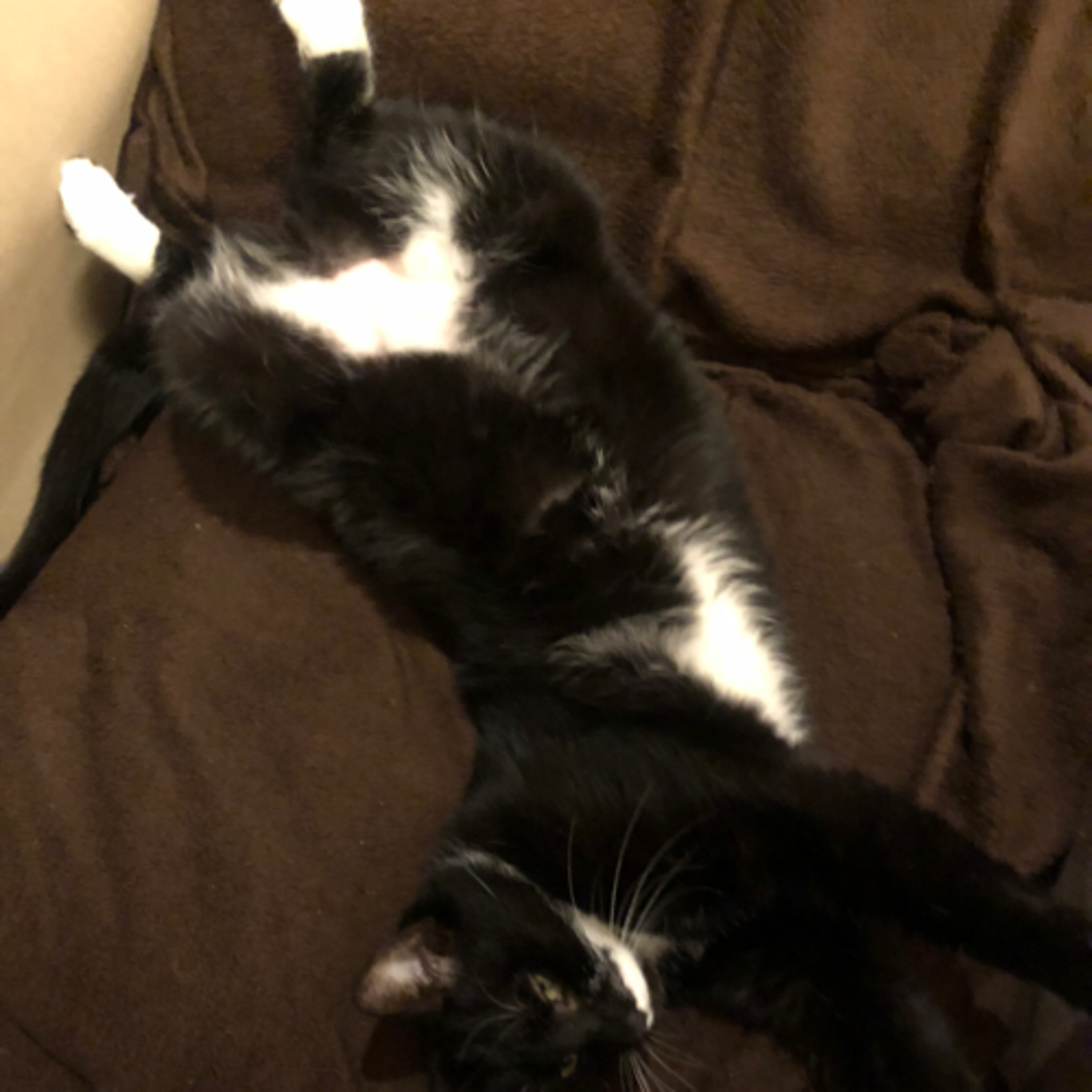 Hört diese Folge !!!