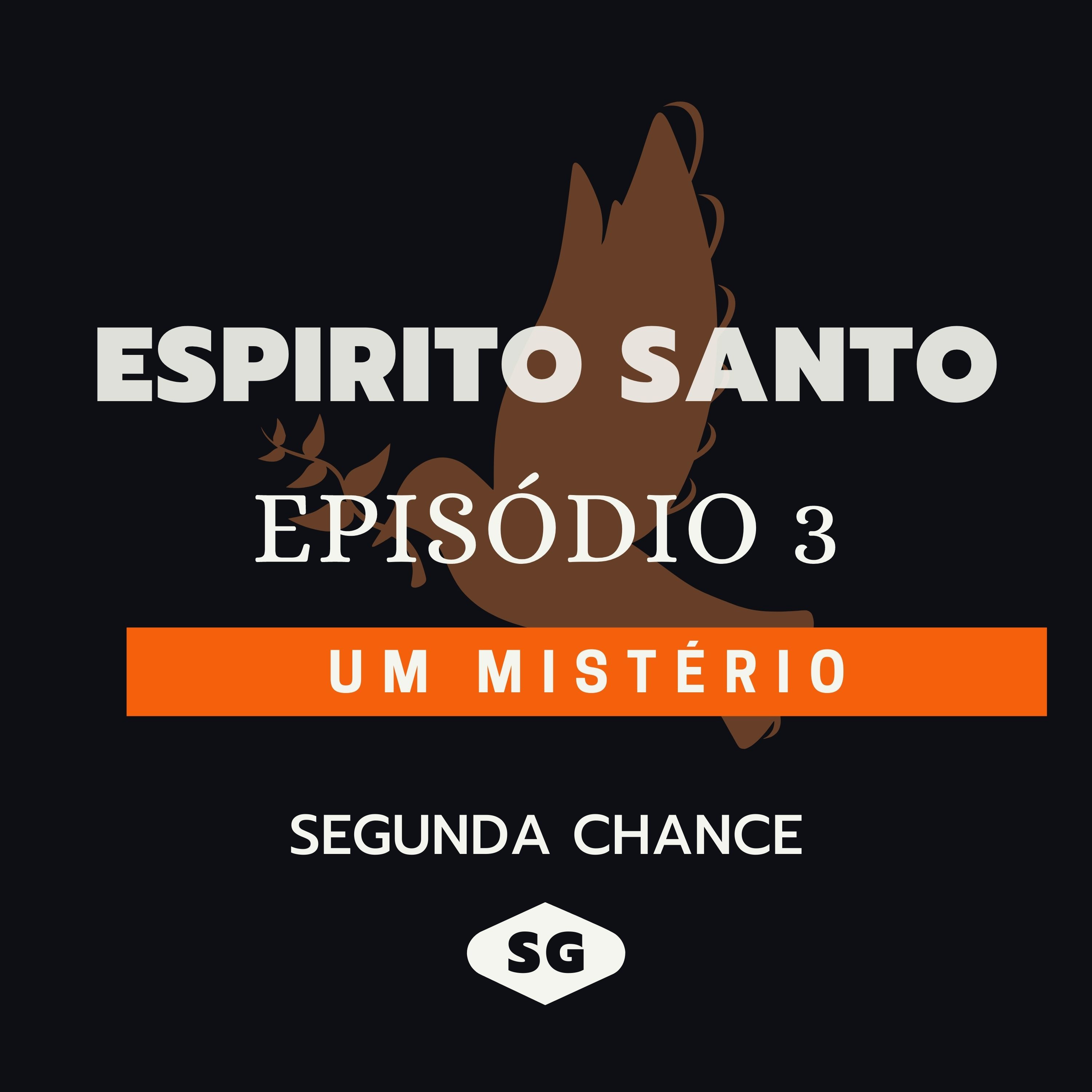 UM MISTÉRIO | PATRICIA MENDES