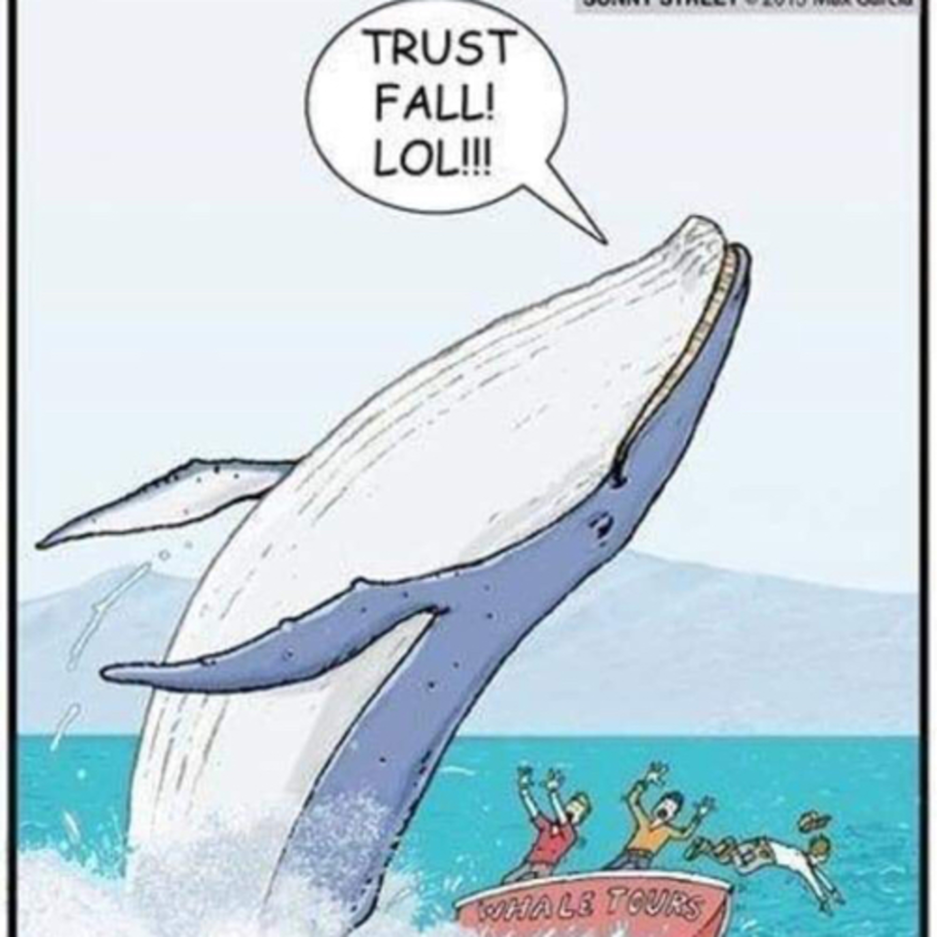 The Trust Fall: Can You Be Trusted?